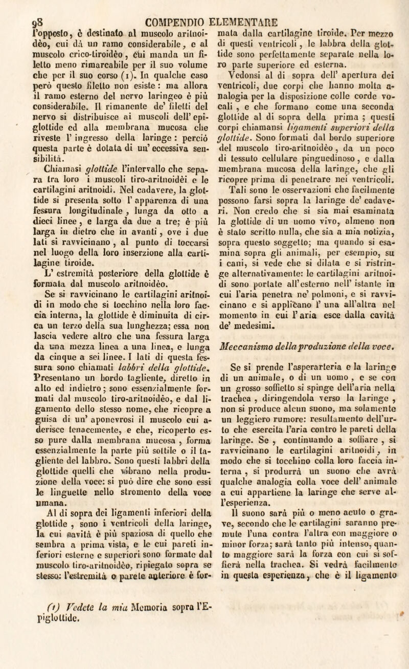 l’opposto, è destinato al muscolo arilnoi- mata dalla cartilagine tiroide. Per mozzo dèo, cui dà un ramo considerabile, c al di questi ventricoli, le labbra della glot- muscolo crico-tiroidèo , Obi manda un fi- tide sono perfettamente separate nella lo- lello meno rimarcabile per il suo volume che per il suo corso (i). In qualche caso però questo filetto non esiste : ma allora il ramo esterno del nervo laringeo è più considerabile. Il rimanente de’ lilclti del nervo si distribuisce ai muscoli dell’ epi¬ glottide ed alla membrana mucosa che riveste 1’ ingresso della laringe : perciò questa parte è dotata di un’ eccessiva sen¬ sibilità. Chiamasi glottide l’intervallo che sepa¬ ra tra loro i muscoli tiro-aritnoidèi c le cartilagini aritnoidi. Nel cadavere, la glot¬ tide si presenta sotto 1’ apparenza di una fessura longitudinale , lunga da otto a dieci linee , e larga da due a tre; è più larga in dietro che in avanti, ove i due lati si ravvicinano , al punto di toccarsi nel luogo della loro inserzione alla carti¬ lagine tiroide. L’ estremità posteriore della glottide è formata dal muscolo aritnoidèo. Se si ravvicinano le cartilagini aritnoi¬ di in modo che si tocchino nella loro fac¬ cia interna, la glottide è diminuita di cir¬ ca un terzo della sua lunghezza; essa non lascia vedere altro che una fessura larga da una mezza linea a una linea, e lunga da cinque a sei linee. I lati di questa fes¬ sura sono chiamati labbri della glottide. Presentano un bordo tagliente, diretto in alto ed indietro; sono essenzialmente for¬ mati dal muscolo tiro-arituoidèo, e dal li- gamento dello stesso nome, che ricopre a guisa di un’ aponevrosi il muscolo cui a- dcriscc tenacemente, e che, ricoperto es¬ so pure dalla membrana mucosa , forma essenzialmente la parte più sottile o il ta¬ gliente del labbro. Sono questi labbri della glottide quelli che vibrano nella produ¬ zione della voce: si può dire che sono essi le linguette nello stromcnto della voce umana. Al di sopra dei ligamenti inferiori della glottide , sono i ventricoli della laringe, la cui oavità c più spaziosa di quello che sembra a prima vista, e le cui pareti in¬ feriori esterne c superiori sono formale dal muscolo tiro-aritnoidèo, ripiegalo sopra se stesso: l’estremili o parete aulcriorc è fer¬ ro parte superiore ed esterna. Vedonsi al di sopra dell’ apertura dei ventricoli, due corpi che hanno molta a- nalogia per la disposizione colle corde vo¬ cali , c che formano come una seconda glottide al di sopra della prima ; questi corpi chiamami ligamenti superiori della glottide. Sono formati dal bordo superiore «lei muscolo tiro-aritnoidèo , da un poco di tessuto cellulare pinguedinoso, e dalla membrana mucosa della laringe, che gli ricopre prima di penetrare nei ventricoli. Tali sono le osservazioni che facilmente possono farsi sopra la laringe de’ cadave¬ ri. Non credo clic si sia mai esaminata la glottide di un uomo vivo, almeno non è stalo scritto nulla, che sia a mia notizia, sopra questo soggetto; ma quando si esa¬ mina sopra gli animali, per esempio, su i cani, si vede che si dilata e si ristrin¬ ge alternativamente: le cartilagini aritnoi¬ di sono portate all’esterno nell’ istante in cui l’aria penetra ne’ polmoni, e si ravvi¬ cinano c si applicano 1’ una all’altra nel momento in cui l’aria esce dalia cavità de’ medesimi. Meccanismo della produzione della voce. Se si prende l’asperarteria e la laringe di un animale, o di un uomo , e se con un grosso soffietto si spinge dell’aria nella trachea , dirigendola verso la laringe , non si produce alcun suono, ma solamente un leggiero rumore: rcsultaniento dell’ur¬ to che esercita l’aria contro le pareti della laringe. Se , continuando a solfare , si ravvicinano le cartilagini aritnoidi, in modo che si tocchino colla loro faccia in¬ terna , si produrrà un suono che avrà qualche analogia colla voce dell’ animale a cui appartiene la laringe che serve al¬ l’esperienza. 11 suono sarà più o meno acuto o gra¬ ve, secondo che le cartilagini saranno pre¬ mute l’una contra l’altra con maggiore o minor forza; sarà tanto più intenso, quan¬ to maggiore sarà la forza con cui si sof¬ fierà nella trachea. Si vedrà facilmente in questa esperienza, clic c il iigaincnto (t) Vedete la mia Memoria sopra l’E- riglotlide.