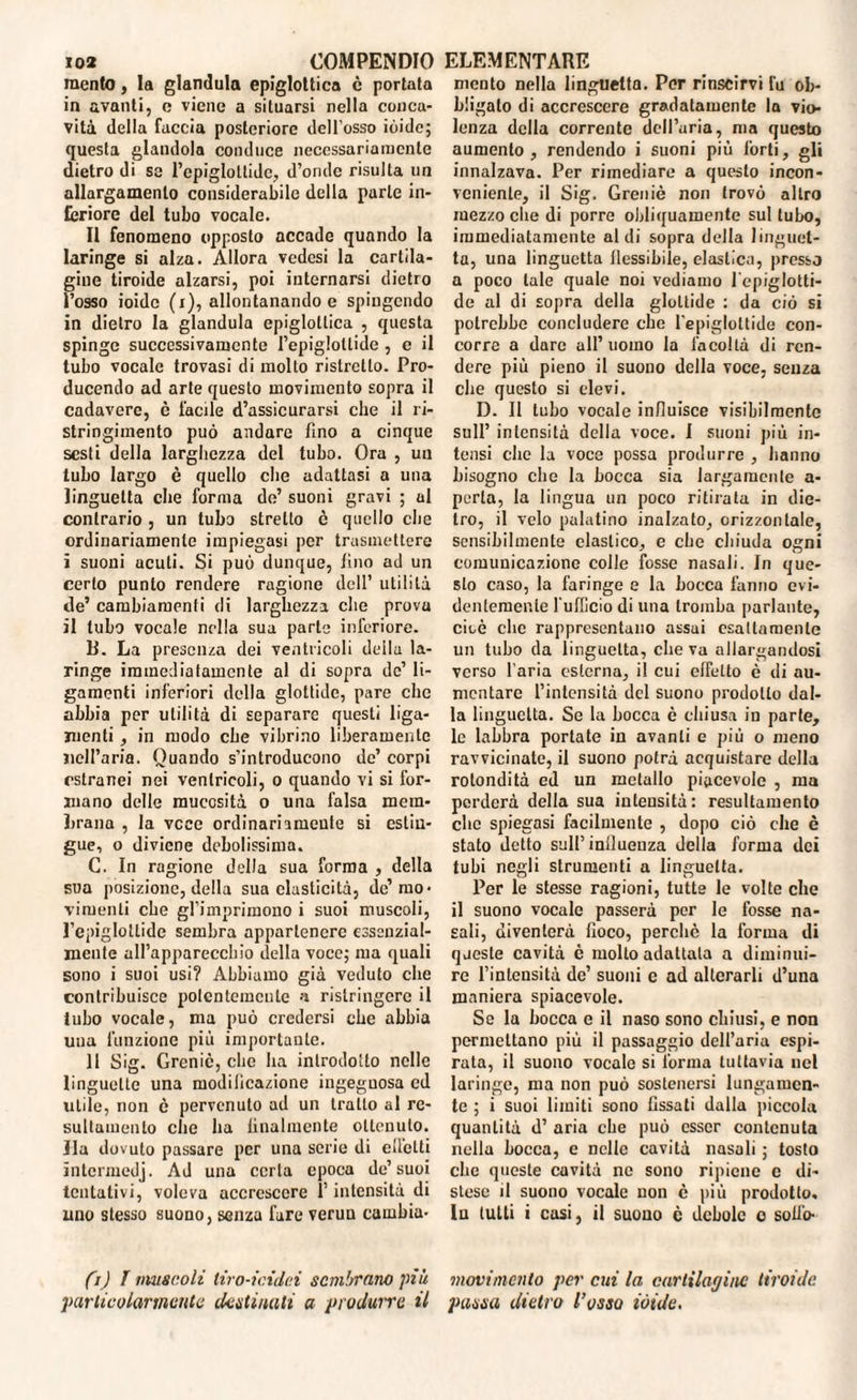 mento, la gianduia epiglottica è portata in avanti, c viene a situarsi nella conca¬ vità della faccia posteriore deU’osso iòide; questa glandola conduce necessariamente dietro di se l’epiglottide, d’onde risulta un allargamento considerabile della parte in¬ feriore del tubo vocale. Il fenomeno opposto accade quando la laringe si alza. Allora vedesi la cartila¬ gine tiroide alzarsi, poi internarsi dietro l’osso ioide (i), allontanando e spingendo in dietro la gianduia epiglottica , questa spinge successivamente l’epiglottide , e il tubo vocale trovasi di molto ristretto. Pro¬ ducendo ad arte questo movimento sopra il cadavere, c facile d’assicurarsi che il ri- stringimento può andare fino a cinque sesti della larghezza del tubo. Ora , un tubo largo è quello che adattasi a una linguetta che forma de’ suoni gravi ; al contrario , un tubo stretto c quello che ordinariamente impiegasi per trasmettere i suoni acuti. Si può dunque, lino ad un certo punto rendere ragione dell’ utilità de’ cambiamenti di larghezza che provu il tubo vocale nella sua parte inferiore. B. La presenza dei ventricoli della la¬ ringe immediatamente al di sopra de’ li- gamenti inferiori della glottide, pare che abbia per utilità di separare questi liga- juenti, in modo che vibrino liberamente nell’aria. Quando s’introducono de’ corpi estranei nei ventricoli, o quando vi si for¬ mano delle mucosità o una falsa mem¬ brana , la vece ordinariamente si estin¬ gue, o diviene debolissima. C. In ragione della sua forma , della sua posizione, della sua elasticità, de’mo- vimenti che gl’imprimono i suoi muscoli, l’epiglottide sembra appartenere essenzial¬ mente all’apparecchio della voce; ma quali sono i suoi usi? Abbiamo già veduto che contribuisce polcnlcmcnle n ristringere il tubo vocale, ma può credersi che abbia una funzione più importante. 11 Sìg. Grenic, clic ha introdotto nelle linguette una modilica/ione ingegnosa ed utile, non c pervenuto ad un tratto al rc- sultamento che ha lilialmente ottenuto. Ila dovuto passare per una serie di ell’etti intcrmedj. Ad una certa epoca de’suoi tentativi, voleva accrescere l’intensità di uno stesso suono, senza fare verun cambia- (r) / muscoli liro-icidei sembrano più particolarmente destinati a produrre il mento nella linguetta. Per rinscirvi fu ob¬ bligato di accrescere gradatamente la vio¬ lenza della corrente dell’aria, ma questo aumento, rendendo i suoni più forti, gli innalzava. Per rimediare a questo incon¬ veniente, il Sig. Greniè non trovò altro mezzo che di porre obliquamente sul tubo, immediatamente aldi sopra della linguet¬ ta, una linguetta flessibile, elastica, presso a poco tale quale noi vediamo 1 epiglotti¬ de al di sopra della glottide : da ciò si potrebbe concludere che l'epiglottide con¬ corre a dare all’uomo la facoltà di ren¬ dere più pieno il suono della voce, senza che questo si elevi. D. Il tubo vocale influisce visibilmente sull’ intensità della voce. I suoni più in¬ tensi che la voce possa produrre , hanno bisogno che la bocca sia largamente a- pcrla, la lingua un poco ritirata in die¬ tro, il velo palatino inalzato, orizzontale, sensibilmente clastico, e che chiuda ogni comunicazione colle fosse nasali. In que¬ sto caso, la faringe e la bocca fanno evi¬ dentemente l'ufficio di una tromba parlante, cioè clic rappresentano assai esattamente un tubo da linguetta, che va allargandosi verso l’aria esterna, il cui effetto è di au¬ mentare l’intensità del suono prodotto dal¬ la linguetta. Se la bocca è chiusa in parte, le labbra portate in avanti e più o meno ravvicinate, il suono potrà acquistare della rotondità ed un metallo piacevole , ma perderà della sua intensità: resultamelo clic spiegasi facilmente , dopo ciò che è stato detto sull’ inilueuza della forma dei tubi negli strumenti a linguetta. Per le stesse ragioni, tutte le volte che il suono vocale passerà per le fosse na¬ sali, diventerà foco, perchè la forma di qjeste cavità è molto adattala a diminui¬ re l’intensità de’ suoni c ad alterarli d’una maniera spiacevole. Se la bocca e il naso sono chiusi, e non permettano più il passaggio dell’aria espi¬ rata, il suono vocale si l'orma tuttavia nel laringe, ma non può sostenersi lungamen¬ te ; i suoi limiti sono fissati dalla piccola quantità d’ aria che può esser contenuta nella bocca, e nelle cavità nasali ; tosto che queste cavità ne sono ripiene c di¬ stese il suono vocale non è più prodotto. In tutti i casi, il suono c debole o soffio- movimento per cui la cartilagine tiroide passa dietro l’osso iòide.