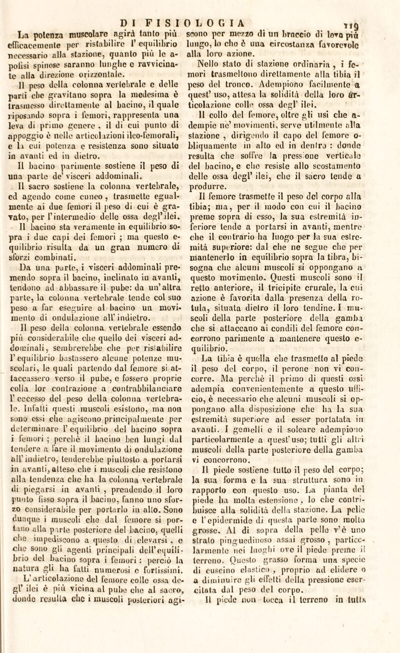 La potenza muscolare agirà tanto più efficacemente per ristabilire 1’ equilibrio necessario alla stazione, quanto più le a- polisi spinose saranno lunghe c ravvicina¬ te alla direzione orizzontale. 11 peso della colonna vertebrale c delle parli clic gravitano sopra la medesima è trasmesso direttamente al bacino, il quale riposando sopra i femori, rappresenta una leva di primo genere , il di cui punto di appoggio è nelle articolazioni ileo-femorali, c la cui potenza e resistenza sono situato iu avanti ed in dietro. 11 bacino parimente sostiene il peso di una parte de’visceri addominali. Il sacro sostiene la colonna vertebrale, ed agendo come cuneo , trasmette egual¬ mente ai due femori il peso di cui è gra¬ vato, per l’intermedio delle ossa degl’ilei. II bacino sta veramente in equilibrio so¬ pra i due capi dei femori ; ma questo e- quilibrio risulta da un gran numero di sforzi combinati. l)a una parte, i visceri addominali pre¬ mendo sopra il bacino, inclinato iu avanti, tendono ad abbassare il pube: da un’altra parte, la colonna vertebrale tende col suo peso a far eseguire al bacino un movi¬ mento di ondulazione all’indietro. Il peso della colonna vertebrale essendo più considerabile che quello dei visceri ad¬ dominali, sembrerebbe che per risiabilire 1’ equilibrio bastassero alcune potenze mu¬ scolari, le quali partendo dal femore si at¬ taccassero verso il pube, e fossero proprie colla lor contrazione a contrabbilanciare l’eccesso del peso della colonna vertebra¬ le. Infatti questi muscoli esistono, ma non sono essi clic agiscono principalmente per determinare l’equilibrio del bacino sopra i femori ; perche il bacino ben lungi dal tendere a lare il movimento di ondulazione all’indietro, tenderebbe piuttosto a portarsi in avanti, atteso che i muscoli che resistono alla tendenza clic ha la colonna vertebrale di piegarsi in avanti , prendendo il loro punto lisso sopra il bacino, fanno uno sfor¬ zo considerabile per portarlo in alto. Sono dunque i muscoli che dal femore si por¬ tano alla p'.rle posteriore del bacino, quelli che impediscono a questo di elevarsi , c che sono gli agenti principali dell’equili¬ brio del bacino sopra i femori : perciò la natura gli ha fatti numerosi c fortissimi. L articolazione del femore colle ossa de¬ gl’ ilei è più vicina al pube clic al sacro, donde resulta che i muscoli posteriori agi¬ scono per mezzo di un braccio di leva più lungo, lo elio è una circostanza favorevole alla loro azione. Nello stato di staziono ordinaria, i fe¬ mori trasmeltono direttamente alla tibia il peso del tronco. Adempiono facilmente a quest’ uso, attesa la solidità della loro Ar¬ ticolazione colle ossa degl’ ilei. 11 collo del femore, oltre gli usi che a- dempie ne’ movimenti, serve utilmente alla stazione , dirigendo il capo del femore o- bliquamcnto in alto ed in denlro : donde resulta che sollVe la pressione verticale del bacino, e elio resiste allo scostamento delle ossa degl’ ilei, elio il sacro tende a produrre. Il femore trasmetle il peso del corpo alla tibia; ma, per il modo con cui il bacino preme sopra di esso, la sua estremità in¬ feriore tende a portarsi in avanti, mentre che il contrario ha luogo per la sua estre¬ mità supcriore: dal che ne segue che per mantenerlo in equilibrio sopra la tibra, bi¬ sogna clic alcuni muscoli si oppongano a questo movimento. Questi muscoli sono il retto anteriore, il tricipite crurale, la cui azione è favorita dalla presenza della ro¬ tula, situata dietro il loro tendine. I mu¬ scoli della parte posteriore della gamba che si attaccano ai condili del femore con¬ corrono parimente a mantenere questo c- quilibrio. La tibia è quella che trasmetto al piede il peso del corpo, il perone non vi con¬ corre. Ma perchè il primo di questi ossi adempia convenientemente a questo uffi¬ cio, è necessario ohe alcuni muscoli si op¬ pongano alla disposizione che ha la sua estremità superiore ad esser portatata in avanti. I gemelli e il solcare adempiono particolarmente a quest'uso; lutti gli alili muscoli della parte posteriore della gamba vi concorrono. Il piede sostiene tutto il peso del corpo; la sua forma c la sua struttura sono in rapporto con questo uso. La pianta del piede ha molta estensione, lo clic contri¬ buisce alla solidità della stazione. La pelle e l’epidermide di questa parte sono molto grosse. Al di sopra della pelle v’è uno strato pinguedinoso assai grosso, partico¬ larmente nei luoghi ove il piede preme il terreno. Questo grasso forma una specie di cuscino elastico , proprio ad elidere o a diminuire gli effetti della pressione eser¬ citata dal peso del corpo. 11 piede iloti tocca il terreno in tutta