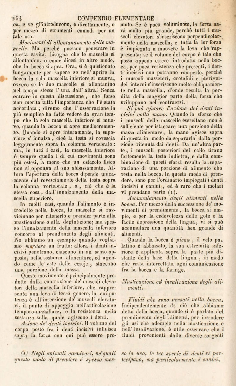 ca, c ve gl’inlroducono, o direttamente, o per mezzo di strumenti comodi per un iale uso. Movimenti di allontanamento delle ma¬ scelle. Ma perchè possano penetrare in questa cavità, bisogna clic le mascelle si allontanino, o come diccsi in altro modo, che la bocca si apra. Ora, si è <|uislionato lungamente per sapere se nell’ aprire la Locca la sola mascella inferiore si muova, ovvero so le due mascelle si allontanino nel tempo stesso 1’ una dall’ altra. Senza entrare in questa discussione , che forse non merita tutla l'importanza che l’è stata accordata , diremo che 1’ osservazione la più semplice ha fatto vedere da gran tem¬ po che la sola mascella inferiore si muo¬ ve, quando la bocca si apre mediocremen¬ te. Quando si apre interamente, la supc¬ riore s’ innalza, cioè la testa si rovescia leggermente sopra la colonna vertebrale : ma, in tutti i casi, la mascella inferiore è sempre quella i di cui movimenti sono più estesi, a meno che un ostacolo iisico non si opponga al suo abbassamento. Al¬ lora l’apertura della bocca dipende unica¬ mente dal rovesciamento della testa sopra la colonna vertebrale , o , ciò che c la stessa cosa , dall’ innalzamento della ma¬ scella Superiore. In molti casi, quando l’alimento è in¬ trodotto nella bocca, la mascelle si rav¬ vicinano per ritenerlo c prender parte alla masticazione o alla deglutizione; ma spes¬ so l’innalzamento della mascella inferiore concorre al prendimcnto degli alimenti. Ne abbiamo un esempio quando voglia¬ mo mordere un frutto: allora i denti in¬ cisivi penetrano, ciascuno in un senso op¬ posto, nella sostanza alimentare, ed agen¬ do come le aste delle cesoje , staccano una porzione della massa. Questo movimento è principalmente pro¬ dotto dalla contrazione de’ muscoli eleva¬ tori della mascella inferiore, che rappre¬ senta una leva di terzo genere, la cui po¬ tenza è all’inserzione de’ muscoli elevato¬ ri, il punto di appoggio nell'articolazione tempore-ninniliare, e la resistenza nella sostanza sulla quale agiscono i denti. Azione ila’ denti incisivi. Il volume del corpo posto fra i denti incisivi influisco sopra la forza con cui può essere prc- (i) Negli animali carnivori, ne'quali questo modo di prendere è spesso mes- muto. Se è poco voluminoso, la forza sa¬ rà molto più grande, perche tutti i mu¬ scoli elevatori s’inseriscono perpendicolar¬ mente nella mascella, e tutta la lor forza è impiegata a muovere la leva che ‘rap¬ presenta; se il volume del corpo c tale che possa appena essere introdotto nella boc¬ ca, per poca resistenza che presenti, i den¬ ti incisivi non potranno romperlo, perchè i muscoli masseteri, crotafìdi e pterigoi- dei interni s’inseriscono molto obliquamen¬ te nella mascella, d’onde resulta la per¬ dita delia maggior parte della forza che sviluppano nel contrarrsi. Si può ajutare l'azione dei denti in¬ cisivi colla mano. Quando lo sforzo che i muscoli delle mascelle esercitano non è sufficiente per istaccarc una porzione della massa alimentare, la mano agisce sopra di questa in modo da separarla dalla por¬ zione ritenuta dai denti. Da un’altra par¬ te , i muscoli posteriori del collo tirano fortemente la lesta indietro, e dalla com¬ binazione di questi sforzi resulta la scita- razione di una porzione di alimento clic resta nella bocca. In questo modo di pren¬ dere, sono per l’ordinario impiegati i denti incisivi e canini , ed è raro che i molari vi prendano parto (i). Accumulamento degli alimenti nella bocca. Per mezzo della successione de’ mo¬ vimenti di prendimento , la bocca si em¬ pie, e per la cedevolezza delle gote e la facile depressione della lingua, vi si può accumulare una quantità ben grande di alimenti. Quando la bocca è piena , il velo pa. latino è abbassato, la sua estremità infe¬ riore è applicala sopra la parte più di¬ stante della base della lingua , in meda clie resta intercettata ogni comunicazione fra la bocca e la faringe. Masticazione ed insalivazione degli ali¬ menti. Fluidi che sono versati nella bocca. Indipendentemente da ciò elio abbiamo detto della bocca, quando si è parlato del prendimcnto degli alimenti, per intendere gli usi clic adempie nella masticazione e nell’ insalivazione, è utile osservare che i lluidi provenienti dalle diverse sorgenti so in uso, le tre specie di denti vi par¬ tecipano, ma particolarmente i canini,