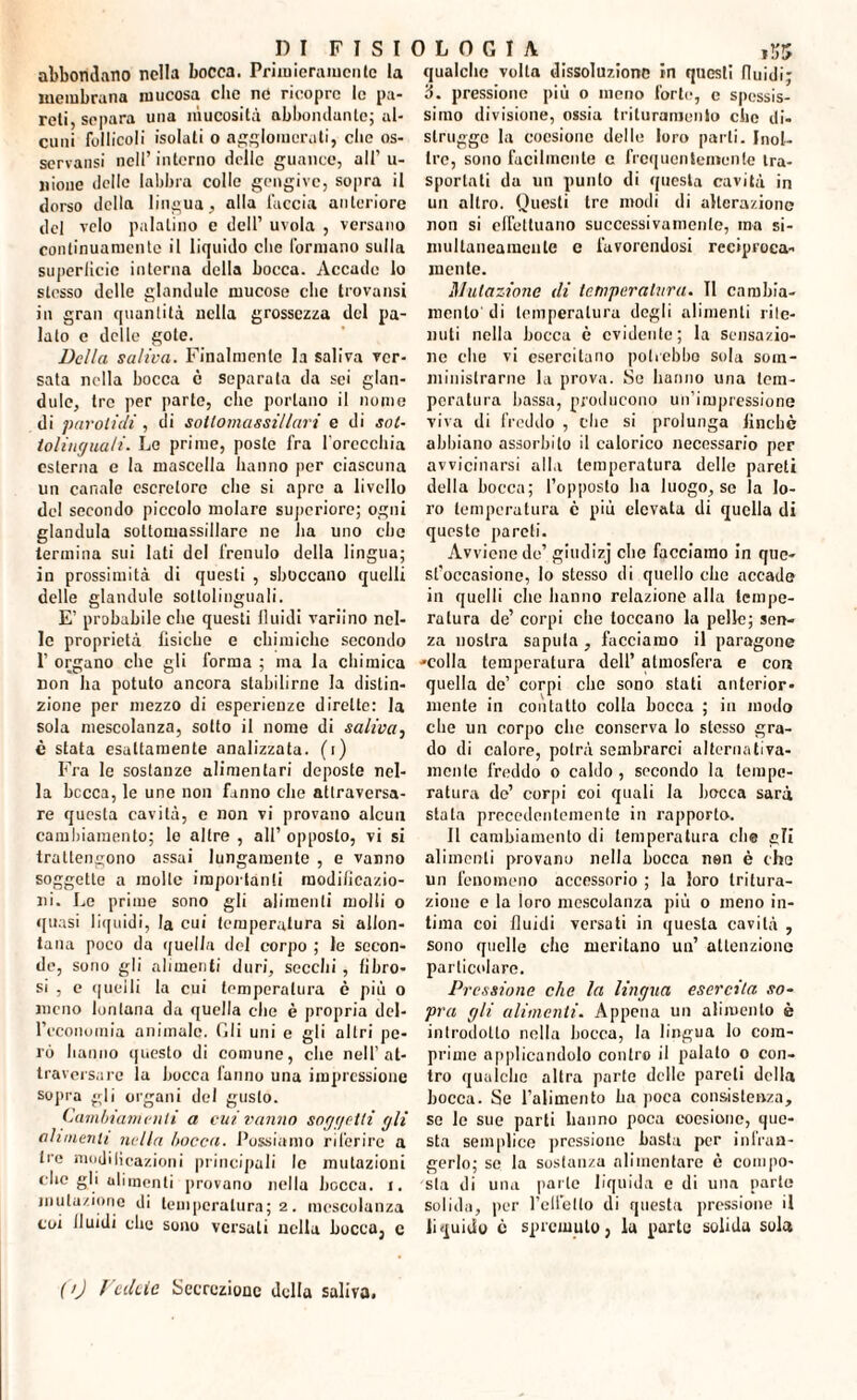 abbondano nella bocca. Primieramente la membrana mucosa clic ne ricopre le pa¬ reti, separa una mucosità abbondante; al¬ cuni follicoli isolali o agglomerati, clic os¬ servatisi nell’ interno delle guance, all’ u- nioue delle labbra colle gengive, sopra il dorso della lingua, alla faccia anteriore del velo palatino e dell’ uvola , versano continuamente il liquido clic formano sulla superlicic interna della bocca. Accade lo stesso delle glandule mucose die trovatisi in gran quantità nella grossezza del pa¬ lalo e delle gote. Della saliva. Finalmente la saliva ver¬ sata nella bocca è separala da sei glan¬ dule, tre per parte, che portano il nome di parolìdi , di sotlomassillari e di sot¬ tolinguali. Le prime, poste fra l orcccbia esterna e la mascella hanno per ciascuna un canale escretore che si apre a livello de! secondo piccolo molare supcriore; ogni gianduia sottoniassillare ne ha uno clic termina sui lati del frenulo della lingua; in prossimità di questi , sboccano quelli delle glandule sottolinguali. E’ probabile clic questi fluidi variino nel¬ le proprietà fisiche e chimiche secondo P organo che gli forma ; ma la chimica Don ha potuto ancora stabilirne la distin¬ zione per mezzo di esperienze dirette: la sola mescolanza, sotto il nome di saliva, è stata esattamente analizzata, (i) Fra le sostanze alimentari deposte nel¬ la becca, le une non fanno che attraversa¬ re questa cavità, c non vi provano alcun cambiamento; lo altre , all’ opposto, vi si trattengono assai lungamente , e vanno soggette a molle importanti modificazio¬ ni. Le prime sono gli alimenti molli o quasi liquidi, la cui temperatura si allon¬ tana poco da quella del corpo ; le secon¬ de, sono gli alimenti duri, secchi, fibro¬ si , e quelli la cui temperatura è più o meno lontana da quella che è propria del¬ l'economia animale. Gli uni e gli altri pe¬ rò hanno questo di comune, che nell’at¬ traversare la bocca fanno una impressione sopra gli organi del gusto. Cambiamenti a eui vanno soggetti gli alimenti nella bocca. Possiamo riferire a tre modificazioni principali le mutazioni elicgli alimenti provano nella bocca, i. mutazione di temperatura; 2. mescolanza coi fluidi che sono versali nella bocca, e qualche volta dissoluzione in questi fluidi; 3. pressione più o meno forte, c spessis¬ simo divisione, ossia trituramenio che di- strugge la coesione delle loro parli. Inol¬ tre, sono facilmente c frequentemente tra¬ sportati da un punto di questa cavità in un altro. Questi tre modi di alterazione non si effettuano successivamente, ma si¬ multaneamente c favorendosi reciproca¬ mente. Illutazione di temperatura. Il cambia¬ mento di temperatura degli alimenti rite¬ nuti nella bocca è evidente; la sensazio¬ ne che vi esercitano potrebbe sola som¬ ministrarne la prova. Se hanno una tem¬ peratura bassa, producono un’impressione viva di freddo , che si prolunga finché abbiano assorbito il calorico necessario per avvicinarsi alla temperatura delle pareti della bocca; l’opposto ha luogo, se la lo¬ ro temperatura c più elevata di quella di questo pareti. Avviene de’ giudizj che facciamo in que- sfoccasione, Io stesso di quello che accade in quelli che hanno relazione alla tempe¬ ratura de’ corpi che toccano la pelle; sen¬ za nostra saputa , facciamo il paragone -colla temperatura dell’ atmosfera e con quella de’ corpi che sono stati anterior¬ mente in contatto colla bocca ; in modo che un corpo che conserva lo stesso gra¬ do di calore, potrà sembrarci alternativa¬ mente freddo o caldo , secondo la tempe¬ ratura de’ corpi coi quali la bocca sarà stata precedentemente in rapporto. Il cambiamento di temperatura che gli alimenti provano nella bocca non è che un fenomeno accessorio ; la loro tritura¬ zione e la loro mescolanza più o meno in¬ tima coi fluidi versati in questa cavità , sono quelle che meritano un’ attenzione particolare. Pressione che la lingua esercita so¬ pra gli alimenti. Appena un alimento è introdotto nella bocca, la lingua lo com¬ prime applicandolo contro il palalo o con¬ tro qualche altra parte delle pareti della bocca. Se l’alimento ha poca consistenza, se le sue parti hanno poca coesione, que¬ sta semplice pressione basta per infran¬ gerlo; se la sostanza alimentare è compo¬ sta di una parte liquida e di una parte solida, per l’elfello di questa pressione il liquido è spremuto, la parte solida sola (>) Vedete Secrezione della saliva.