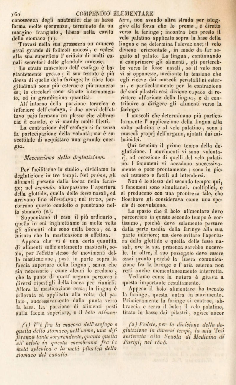 conoscenza degli anatomici clic in basso forma molte sporgenze, terminate da un margine frangiato , libero nella cavità dello stomaco (i). Trovasi nella sua grossezza un numero assai grande di follicoli mucosi, c vedesi alla sua superficie 1’ orifizio di molli ca¬ nali secretori delle glandule mucoso. Lo strato muscoloso dell’ esofago è ba¬ stantemente grosso ; il suo tessuto è più denso di quello della faringe,' le libre lon¬ gitudinali sono più esterne e più numero¬ so; le circolari sono situate internamen¬ te, ed in grandissima quantità. All’ intorno della porzione toracica e inferiore dell'esofago, i due nervi dell'ot¬ tavo pajo formano un plesso che abbrac¬ cia il canale, e vi manda molti filetti. La contrazione dell’ esofago si fa senza la partecipazione della volontà; ma è su¬ scettibile di acquistare una grande encr- gia. Meccanismo della deglutizione. Per facilitarne lo studio , dividiamo la deglutizione in tre tempi. Nel primo, gli alimenti passano dalla Locca nella farin¬ ge; nel secondo, oltrepassano 1’ apertura della glottide, quella delle fosse nasali, ed arrivano fino eli’esofago; nel terzo, per¬ corrono questo condotto c penetrano nel¬ lo stomaco (2), Supponiamo il caso il più ordinario , quello in cui inghiottiamo in molte volte gli alimenti che sono nella bocca , cd a misura che la masticazione si effettua. Appena che vi è una certa quantità di alimenti sufficientemente masticati, so¬ no, per l’effetto stesso de’ movimenti del¬ la masticazione , posti in parte sopra la faccia superiore della lingua , senza che pia necessario , come alcuni lo credono , che la punta di quest’ organo percorra i diversi ripostigli della bocca per riunirli. Allora la masticazione cessa; la lingua è pallevaia cd applicata alla volta del pa¬ lato , successivamente dalla punta verso la base. La porzione di alimenti posti sulla l'accia superiore, 0 il bolo alimen¬ tare, non avendo altra strada per «fug¬ gire alla forza clic lo preme , c diretto verso la faringe ; incontra ben presto il velo palatino applicalo sopra la base della lingua c ne determina l’elevazione; il velo diviene orizzontale , in modo da far se¬ guilo al palato. La lingua, continuando a comprimere gli alimenti, gli portereb¬ be verso le fosse nasali , se il velo non vi si opponesse, mediante la tensione die egli riceve dai muscoli peristalilini ester¬ ni , e particolarmente per la contrazione de’suoi pilastri: cosi diviene capace di re- ristere all’azione della lingua, e di con¬ tribuire a dirigere gli alimenti verso la faringe. I muscoli die determinano più partico¬ larmente 1’ applicazione della lingua alla volta palatina e al velo palatino , sono i muscoli proprj delforgano, ajulati dai mi- lo-ioidei. Qui termina il primo tempo della de¬ glutizione. I movimenti vi sono volonta- rj, ad eccezione di quelli del velo palati¬ no. I fenomeni vi accadono successiva¬ mente e poco prontamente ; sono in pie- col numero c facili ad intendersi. Non è lo stesso del secondo tempo: qui, i fenomeni sono simultanei, moltiplici, e si producono con una prontezza tale, che Boerhave gli considerava come una spe¬ cie di convulsione. Lo spazio clic il bolo alimentare devo percorrere in questo secondo tempo è cor¬ tissimo , poiché deve solamente passare dalla parte media della faringe alla sua parte inferiore; ma deve evitare l'apertu¬ ra della glottide e quella delle fosse na¬ sali, ove la sua presenza sarebbe nocevo- lo. In oltre, il suo passaggio deve essere assai pronto perchè la libera comunica¬ zione Ira la laringe e 1’ aria esterna non resti anche momentaneamente interrotta. Vediamo come la natura è giunta a questo importante resultamenlo. Appena il bolo alimentare ha toccato la faringe, questa entra in movimento. Primieramente la faringe si contrae, ab¬ braccia e serra il bolo ; il velo palatino, tirato in basso dai pilastri, agisce ancor (1) Y’ù fra la mucosa dell'esofago c (2) Vedete, per la divisione della de- miella dello stomaco,nell’uomo, una dj- gitili-ione vi diversi tempi, la mia Tesi ferenza tanto sorprendente, quanto quella sostenuta alla 8cuolu di Medicina di c/i’ esiste in questa membrana fra 11 Parigi, nel 1808. metà splenica e la metà piloriea dello stomaco del cavallo.