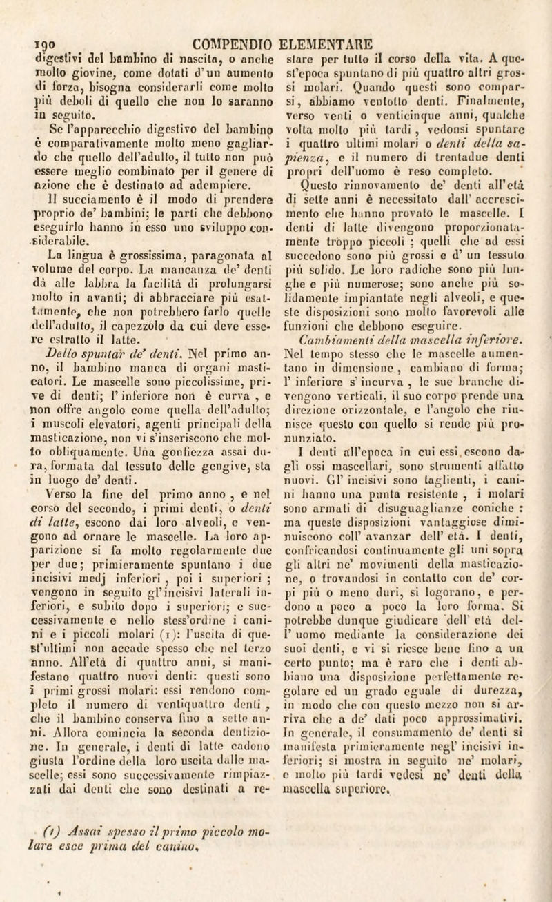 digestivi del bambino di nascita, o anche mollo giovine, come dotali d’un aumento di forza, bisogna considerarli come mollo ]>iù deboli di quello che non lo saranno in seguilo. Se l’apparecchio digestivo del bambino c comparativamente molto meno gagliar¬ do clic quello dell’adulto, il tutto non può essere meglio combinato per il genere di azione che è destinalo ad adempiere. 11 succia mento è il modo di prendere proprio de’ bambini; le parti che debbono eseguirlo hanno in esso uno sviluppo con¬ siderabile. La lingua è grossissima, paragonata al volume del corpo. La mancanza de’ denti dà alle labbra la facilità di prolungarsi molto in avanti; di abbracciare più esat¬ tamente, elle non potrebbero farlo quelle dell’adulto, il capezzolo da cui deve esse¬ re estratto il latte. Dello spuntar eie’ (lenii. Nel primo an¬ no, il bambino manca di organi masti¬ catori. Le mascelle sono piccolissime, pri¬ ve di denti; l’inferiore non è curva , e non offre angolo come quella dell’adulto; i muscoli elevatori, agenti principali della masticazione, non vi s’inseriscono che mol¬ to obliquamente. Una gonfiezza assai du¬ ra, formata dal tessuto delle gengive, sta in luogo de’ denti. Verso la fine del primo anno , e nel corso del secondo, i primi denti, o denti di latte, escono dai loro alveoli, c ven¬ gono ad ornare le mascelle. La loro ap¬ parizione si fa molto regolarmente due per due; primieramente spuntano i due incisivi medj inferiori , poi i superiori ; vengono in seguito gl’incisivi laterali in¬ feriori, e subito dopo i superiori; e suc¬ cessivamente e nello stcss’ordine i cani- ri e i piccoli molari (1): l’uscita di que- Bt’ultimi non accade spesso che nel terzo anno. All’età di quattro anni, si mani¬ festano quattro nuovi denti: questi sono ì primi grossi molari: essi rendono com¬ pleto il numero di ventiquattro denti , che il bambino conserva lino a sette an¬ ni. Allora comincia la seconda dentizio¬ ne. In generale, i denti di latte cadono giusta l’ordine della loro uscita dallo ma¬ scelle; essi sono successivamente rimpiaz¬ zali dai denti che sono destinati a re¬ stare per lutto il corso della vita. A que¬ st’epoca spuntano di più quattro altri gros¬ si molari. Quando questi sono compar¬ si, abbiamo vcntolto denti. Finalmente, verso venti o venticinque anni, qualche volta mollo più lardi , vedonsi spuntare i quattro ultimi molari 0 denti della sa¬ pienza, c il numero di trentadue denti propri dell’uomo è reso completo. Questo rinnovamento de’ denti all’età di sette anni è necessitalo dall’ accresci¬ mento che hanno provato le mascelle. I denti di latte divengono proporzionata¬ mente tròppo piccoli ; quelli che ad essi succedono sono più grossi e d’ un tessuto più solido. Le loro radiche sono più lun¬ ghe c più numerose; sono anche più so¬ lidamente impiantate negli alveoli, e que¬ ste disposizioni sono molto favorevoli alle funzioni che debbono eseguire. Cambiamenti della mascella inferiore. Nel tempo stesso che le mascelle aumen¬ tano in dimensione , cambiano di forma; 1’ inferiore s’ incurva , le sue branche di¬ vengono verticali, il suo corpo prende una direzione orizzontale, e l’angolo che riu¬ nisce questo con quello si rende più pro¬ nunzialo. I denti all'epoca in cui essi, escono da¬ gli ossi mascellari, sono strumenti all'alto nuovi. Gl’ incisivi sono taglienti, i cani¬ ni hanno una punta resistente , i molari sono armati di disuguaglianze coniche : ma queste disposizioni vantaggiose dimi¬ nuiscono coll’ avanzar dell’ età. I denti, confricandosi continuamente gli uni sopra gli altri ne’ movimenti della masticazio¬ ne, 0 trovandosi in contatto con de’ cor¬ pi più 0 meno duri, si logorano, c per¬ dono a poco a poco la loro forma. Si potrebbe dunque giudicare dell' età dcl- 1’ uomo mediante la considerazione dei suoi denti, c vi si riesce bene lino a un certo punto; ma c raro che i denti ab¬ biano una disposizione perfettamente re¬ golare ed un grado eguale di durezza, in modo clic con questo mezzo non si ar¬ riva che a do’ dati poco approssimativi. In generale, il consumamenlo de’ denti si manifesta primieramente negl' incisivi in¬ feriori; si mostra in seguito ne’ molari, c molto più tardi vedesi nc’ denti della mascella supcriore. (t) Assai spesso il primo piccolo mo¬ lare esce prima del canino,