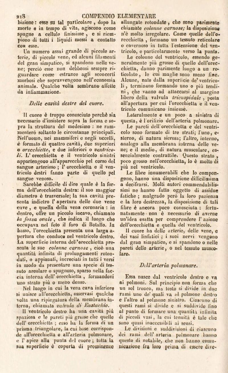 2iS COMPENDIO bizione : esso su tal particolare , dopo la morte o in tempo di vita, agiscono come spugne a cellule finissime , e si riem¬ piono di tulli i liquidi messi a contatto con esse. Un numero assai grande di piccolo ar¬ terie, di piccole vene, cd alcuni filamenti del gran simpatico, si spandono nelle ve¬ ne; perciò esse non debbonsi sempre ri¬ guardare come estranee agli sconcerti morbosi ebe sopravvengono nell’economia animale. Qualche volta sembrano affette da infiammazione. Delle cavità destre del cuore. Il cuore è troppo conosciuto perchè sia necessario d’insistere sopra la forma c so¬ pra la struttura del medesimo : ne ram¬ menterò soltanto le circostanze principali. Well’uomo, nei mammiferi e negli uccelli, è formato di quattro cavità, due superiori o orecchiette, e due inferiori o ventrico¬ li. L’orecchietta e il ventricolo sinistri appartengono all’apparecchio pel corso del sangue arterioso ; 1’ orecchietta c il ven¬ tricolo destri fanno parte di quello pel sangue venoso. Sarebbe difficile di dire quale è la for¬ ma dell’orecchietta destra: il suo maggior diametro è trasversale; la sua cavità pre¬ senta indietro 1’ apertura delle duo vene cave , e quella della vena coronaria : in dentro, offre un piccolo incavo, chiamato la fossa ovale , che indica il luogo elio occupava nel feto il foro di Botallo. In Lasso, l’orecchietta presenta una larga a- pertura che conduce nel ventricolo destro. La superficie interna dell’orecchietta pre¬ senta le suo colonne carnose , cioè una quantità infinita di prolungamenti roton¬ dati, o appiauati, incrociati in tutti i versi in modo du presentare una specie di tes¬ suto areolare o spugnoso, sparso nella fac¬ cia interna dell’ orecchietta , formandovi uno strato più o meno denso. Nel luogo in cui la vena cava inferiore si unisce all’orecchietta, osservasi qualche volta una ripiegatura della membrana in¬ terna, chiamata valvola di Eustachio. Il ventricolo destro ha una cavità più spaziosa e le pareti più grosse che quelle dell’ orecchietta ; esso ha la forma di un prisma triangolare, la cui base corrispon¬ de all’orecchietta e all’arteria polmonare, c 1’ apice alla punta del cuore; tutta la sua superficie c coperta di prominenze ELEMENTARE allungate rotondate , elio sono parimente chiamate colonne carnose; la disposizione n’è molto irregolare. Come quelle dell’o- recchictla , formano un tessuto reticolare o cavernoso in tutta 1 estensione del ven¬ tricolo, e particolarmente verso la punta. Le colonne del ventricolo, essendo ge¬ neralmente più grosse di quello dell’orcc- chietta, danno parimente luogo a un re¬ ticolato , le cui maglie sono meno fine. Alcune, nate dalla superficie de’ventrico¬ li , terminano formando uno o più tendi¬ ni , che vanno ad attaccarsi al margine libero della valvula tricuspidale , posta all’apertura per cui l’orecchietta e il ven¬ tricolo comunicano insieme. Lateralmente e un poco a sinistra di questa, è l orilizio dell'arteria polmonare. Le pareti dell'orecchietta e del ventri¬ colo sono formate di tre strati; l'uno, e- sterno, di natura sierosa; l’altro, interno, analogo alla membrana interna delle ve¬ ne; e il medio, di natura muscolare, es¬ senzialmente contrattile. Questo strato , poco grosso neU’orecchietta, lo è molto di più nel ventricolo. Le fibre innumerabili che Io compon¬ gono, hanno una disposizione difficilissima a decifrarsi. Molti autori commendabilis¬ simi ne hanno fatto oggetto di assidue fatiche ; malgrado però la loro pazienza c la loro destrezza, la disposizione di tali fibre è ancora poco conosciuta : fortu¬ natamente non è necessario di averne un’idea esatta per comprendere I’ azione dell’orecchietta e quella del ventricolo. 11 cuore ha delle arterie, delle vene, e dei vasi linfatici ; i suoi nervi vengono dal gran simpatico, e si spandono o nelle pareti delle arterie, o nel tessuto musco¬ lare. Dell'arteria polmonare. Essa nasce dal ventricolo destro c va ai polmoni. Sul principio non forma che un sol tronco, ma tosto si divide in due rami uno de’ quali va al polmone destro e l’altro al polmone sinistro. Ciascuno di questi rami si divide e si suddivido lino al punto di formare una quantità infinita di piccoli vasi, la cui tenuità è tale che sono qunsi inaccessibili ai sensi. Le divisioni e suddivisioni di ciascuno dei rami dell’ arteria polmonare hanno questo di notabile, che non hanno comu¬ nicazione fra loro prima di essere dive-