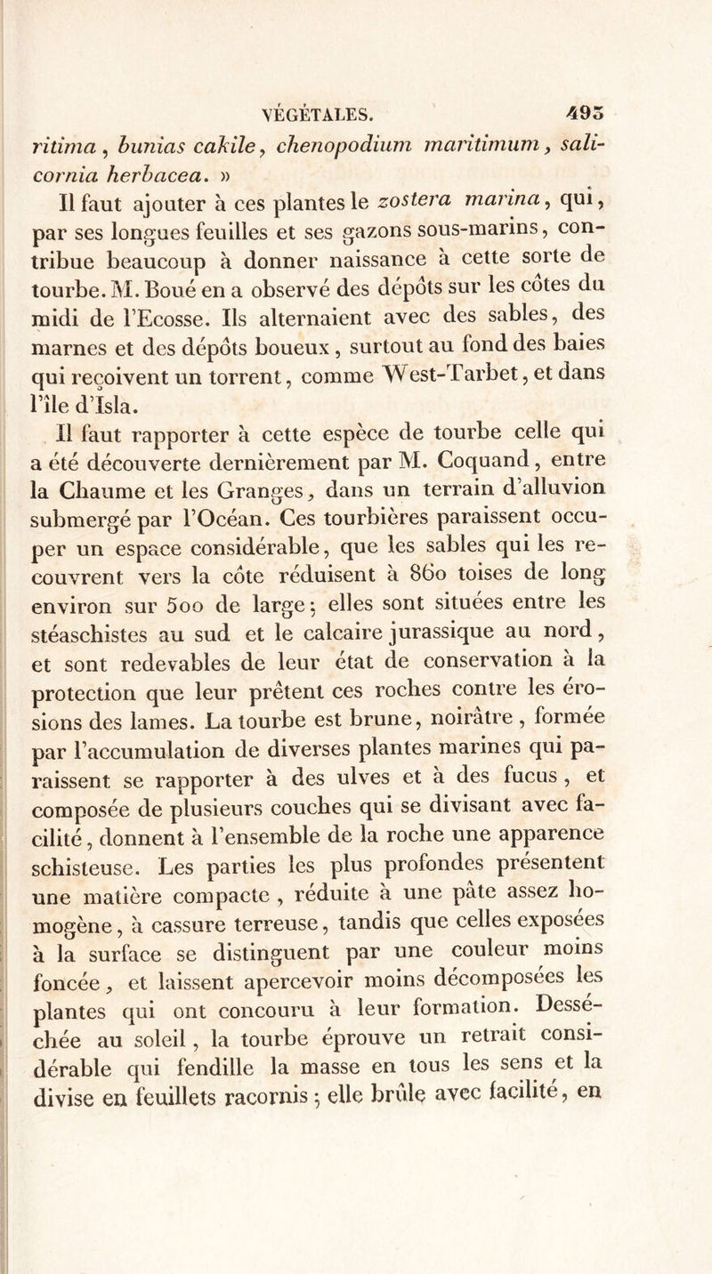 ritima , bunias cakile , chenopodium maiïtimum, sali- cor nia herbacea. » Il faut ajouter a ces plantes le zostera marina, qui, par ses longues feuilles et ses gazons sous-marins, con¬ tribue beaucoup à donner naissance à cette sorte de tourbe. M. Boué en a observé des depots sur les cotes du midi de l’Ecosse. Ils alternaient avec des sables, des marnes et des depots boueux , surtout au fond des baies qui reçoivent un torrent, comme West-Tarbet, et dans Bile d’Isla. Il faut rapporter à cette espèce de tourbe celle qui a été découverte dernièrement par M. Coquand , entre la Chaume et les Granges, dans un terrain d’alluvion submergé par l’Océan. Ces tourbières paraissent occu¬ per un espace considérable, que les sables qui les re¬ couvrent vers la cote réduisent à 860 toises de long environ sur 5oo de large: elles sont situées entre les stéaschistes au sud et le calcaire jurassique au nord, et sont redevables de leur état de conservation à la protection que leur prêtent ces roches contre les éro¬ sions des lames. La tourbe est brune, noirâtre , formée par raccumulation de diverses plantes marines qui pa¬ raissent se rapporter à des ulves et a des fucus , et composée de plusieurs couches qui se divisant avec fa¬ cilité , donnent à l’ensemble de la roche une apparence schisteuse. Les parties les plus profondes présentent une matière compacte , réduite à une pâte assez ho¬ mogène , à cassure terreuse, tandis que celles exposees à la surface se distinguent par une couleur moins foncée, et laissent apercevoir moins décomposées les plantes qui ont concouru à leur formation. Dessé¬ chée au soleil, la tourbe éprouve un retrait consi¬ dérable qui fendille la masse en tous les sens et la divise eu feuillets racornis ; elle brûle avec facilite, en