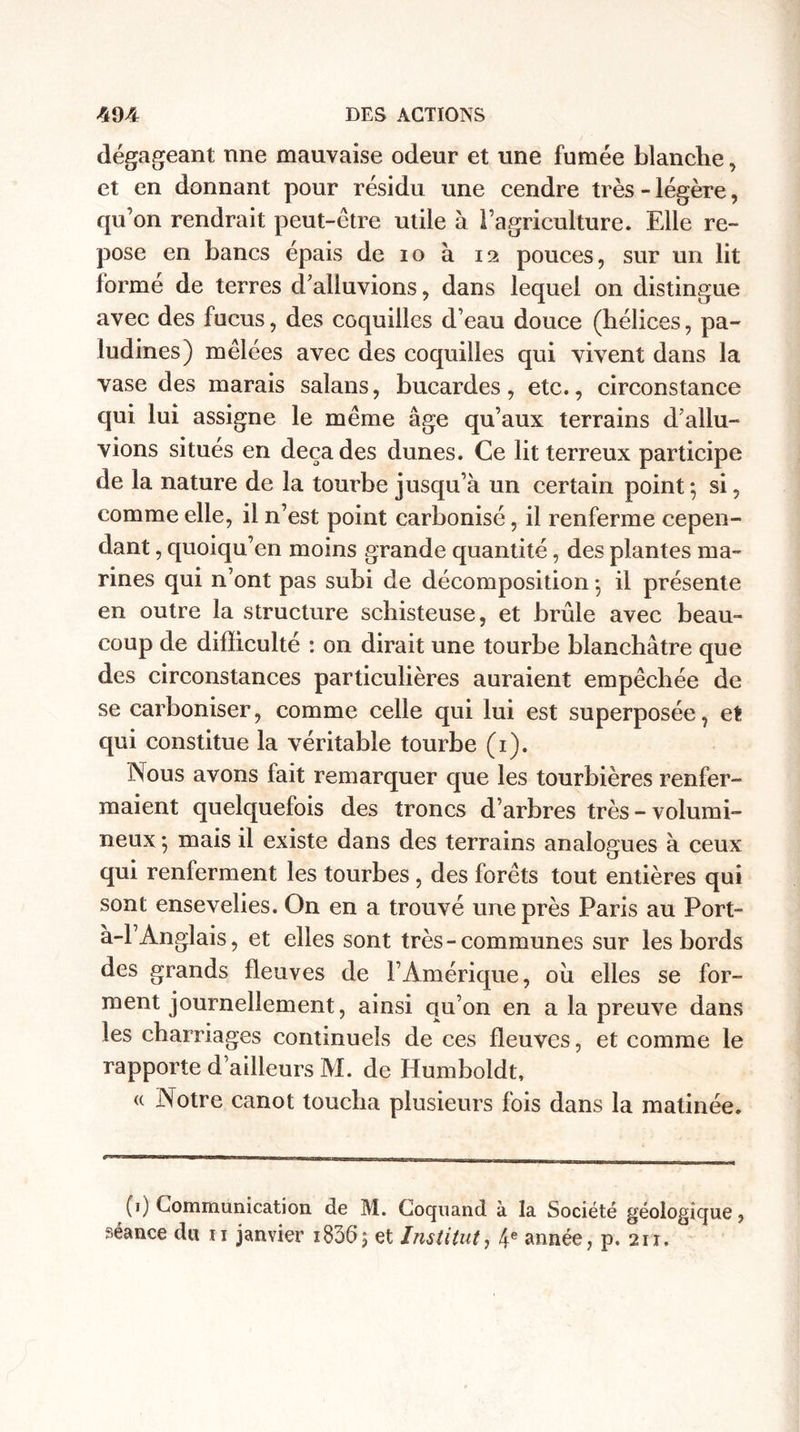 dégageant nne mauvaise odeur et une fumée blanche, et en donnant pour résidu une cendre très - légère, qu’on rendrait peut-être utile à l’agriculture. Elle re¬ pose en bancs épais de io à 12 pouces, sur un lit lormé de terres d’alluvions, dans lequel on distingue avec des fucus, des coquilles d’eau douce (hélices, pa- ludines) mêlées avec des coquilles qui vivent dans la vase des marais salans, bucardes, etc., circonstance qui lui assigne le même âge qu’aux terrains d’allu- vions situés en décades dunes. Ce lit terreux participe de la nature de la tourbe jusqu’à un certain point ; si, comme elle, il n’est point carbonisé, il renferme cepen¬ dant , quoiqu’en moins grande quantité, des plantes ma¬ rines qui n’ont pas subi de décomposition • il présente en outre la structure schisteuse, et brûle avec beau¬ coup de difficulté : on dirait une tourbe blanchâtre que des circonstances particulières auraient empêchée de se carboniser, comme celle qui lui est superposée, et qui constitue la véritable tourbe (1). Nous avons fait remarquer que les tourbières renfer¬ maient quelquefois des troncs d’arbres très - volumi¬ neux *, mais il existe dans des terrains analogues à ceux qui renferment les tourbes, des forêts tout entières qui sont ensevelies. On en a trouvé une près Paris au Port- a-1’Anglais, et elles sont très-communes sur les bords des grands fleuves de l’Amérique, ou elles se for¬ ment journellement, ainsi qu’on en a la preuve dans les charriages continuels de ces fleuves, et comme le rapporte d’ailleurs M. de Humboldt, <( Notre canot toucha plusieurs fois dans la matinée. (1) Communication de M. Coquand à la Société géologique, séance du 11 janvier 18565 et Institut, 4e année, p. 211.