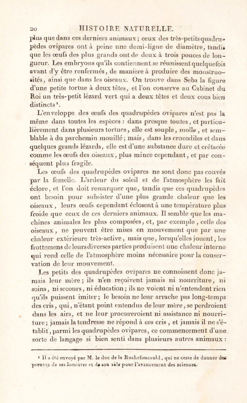 plus que dans ces derniers animaux; ceux des très-petitsqiiadru-* pèdes ovipares ont à peine une demi-ligne de diamètre, tandis que les œufs des plus grands ont de deux à trois pouces de lon- gueur. Les embryons qu’ils contienne!! tse réunissent quelquefois avant d’y être renfermés, de manière à produire des monstruo- sités, ainsi que dans les oiseaux. On trouve dans Seba la figure d’une petite tortue à deux têtes, et Ion conserve au Cabinet du Roi un très-petit lézard vert qui a deux têtes et deux cous bien distincts5. L’enveloppe des œufs des quadrupèdes ovipares n’est pas la même dans toutes les espèces : dans presque toutes, et particu- lièrement dans plusieurs tortues, elle est souple, molle , et sem- blable à du parchemin mouillé ; mais, dans les crocodiles et dans quelques grands lézards, elle est d’une substance dure et crétacée comme les œufs des oiseaux, plus mince cependant, et par con- séquent plus fragile. Les œufs des quadrupèdes ovipares ne sont donc pas couvés par la femelle. L’ardeur du soleil et de l’atmosphère les fait éclore, et l’on doit remarquer que, tandis que ces quadrupèdes ont besoin pour subsister d’une plus grande chaleur que les oiseaux , leurs œufs cependant éclosent à une température plus froide que ceux de ces derniers animaux. Il semble que les ma- chines animales les plus composées, et, par exemple , celle des oiseaux, ne peuvent être mises en mouvement que par une chaleur extérieure très-active, mais que, lorsqu’elles jouent, les frottemens de leurs diverses parties produisent une chaleur interne qui rend celle de l’atmosphère moins nécessaire pour la conser- vation de leur mouvement. Les petits des quadrupèdes ovipares ne commissent donc ja- mais leur mère; ils n’en reçoivent jamais ni nourriture, ni soins, ni secours, ni éducation ; ils ne voient ni n’entendent rien qu’ils puissent imiter; le besoin ne leur arrache pas long-temps des cris, qui, n’étant point entendus de leur mère, se perdroient dans les airs, et ne leur procureraient ni assistance ni nourri- ture; jamais la tendresse ne répond à ces cris , et jamais il ne s’é- tablit, parmi les quadrupèdes ovipares, ce commencement d’une sorte de langage si bien senti dans plusieurs autres animaux : 1 II a été envoyé par M. îe duc de la Rochefoucauld, qui ne cesse de donner de* preuves de sesiunsières et d* sou sile pour l'avancement des sciences»