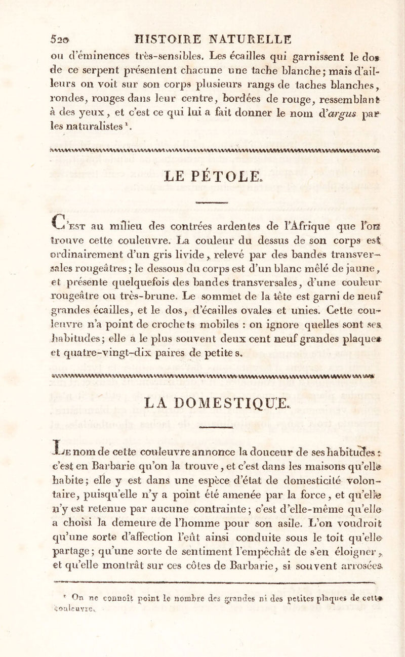 ou d’éminences très-sensibles. Les écailles qui garnissent le dos de ce serpent présentent chacune une tache blanche; mais d’ail» leurs on voit sur son corps plusieurs rangs de taches blanches, rondes, rouges dans leur centre, bordées de rouge, ressemblant h des yeux, et c’est ce qui lui a fait donner le nom d’argus par les naturalistes1. LE PÉTOLE. C’est au milieu des contrées ardentes de FÀfrique que Fore trouve cette couleuvre. La couleur du dessus de son corps est ordinairement d’un gris livide, relevé par des bandes transver- sales rougeâtres ; le dessous du corps est d’un blanc mêlé de jaune, et présente quelquefois des bandes transversales, d’une couleur rougeâtre ou très-brune. Le sommet de la tête est garni de neuf grandes écailles, et le dos, d’écailles ovales et unies. Cette cou-» leuvre n’a point de crochets mobiles : on ignore quelles sont ses. habitudes; elle a le plus souvent deux cent neuf grandes plaque* et quatre-vingt-dix paires de petite s. WVWVWVVVVWVVVVVVVVVVWVVVVVVVVVVV WVVMVVW nwwvvw vwvwvvwwvwwwwvwvwvwwvw w» LA DOMESTIQUE. T Jue nom de cette couleuvre annonce la douceur de ses habitudes : c’est en Barbarie qu’on la trouve, et c’est dans les maisons qu’elle habite; elle y est dans une espèce d’état de domesticité volon- taire, puisqu’elle n’y a point été amenée par la force, et qu’elle n’y est retenue par aucune contrainte; c’est d’elle-même qu’elle a choisi la demeure de l’homme pour son asile. L’on voudroit qu’une sorte d’affection l’eut ainsi conduite sous le toit qu elle partage; qu’une sorte de sentiment l’empêchât de s’en éloigner, et qu’elle montrât sur ces côtes de Barbarie, si souvent arrosées * On ne connaît point le nombre des grandes ni des petites plaques de cetfc* Couleuvre,. -