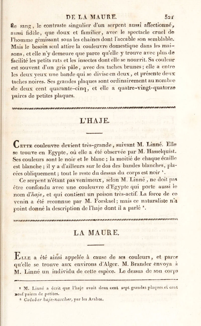 DE LA MAURE. 52 f He sang , le contraste singulier d’un serpent aussi affectionné,, aussi fidèle, que doux et familier, avec le spectacle cruel de l’homme gémissant sous les chaînes dont 1 accable son semblable. Mais le besoin seul attire la couleuvre domestique dans les mai- sons, et elle n’y demeure que parce qu’elle y trouve avec plus de facilité les petits rats et les insectes dont elle se nourrit. Sa couleur est souvent d’un gris pâle, avec des taches brunes; elle a en Ire les deux yeux une bande qui se divise en deux, et présente deux taches noires. Ses grandes plaques sont ordinairement au nombre de deux cent quarante-cinq, et elle a quatre-vingt-quatorze paires de petites plaques. L’HAJE. Cette couleuvre devient très-grande, suivant M. Linné. Elle se trouve en Egypte, où elle a été observée par M. Hasselquist. Ses couleurs sont le noir et le blanc ; la moitié de chaque écaille est blanche ; il y a d’ailleurs sur le dos des bandes blanches, pla- cées obliquement ; tout le reste du dessus du corps est noir Ce serpent n’étant pas venimeux, selon M. Linné , ne doit pa* être confondu avec une couleuvre d’Egypte qui porte aussi le nom (Xhaje> et qui contient un poison très-actif. La force de ce venin a été reconnue par M. Forskael; mais ce naturaliste na point donné la description de l’haje dont il a parlé s. ^ vv* wwvvw* vvi * LA MAURE. E lle a été ainsi appelée à cause de ses couleurs, et parce qu’elle se trouve aux environs d’Alger. M. Brander envoya à M. Linné un individu de cette espèce. Le dessus de son corps i M. Linnc a écrit que l’haje avoit deux cent sept grondes plaques et ce ut 3aewf paires de petites. z Colubcr haje-naschtr, par les Arabes»