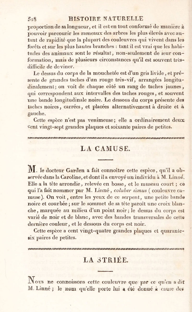proportion de sa longueur, et il est en tout conformé de manière à pouvoir parcourir les rameaux des arbres les plus élevés avec au- tant de rapidité que la plupart des couleuvres qui vivent dans les forêts et sur les plus hautes branches : tant il est vrai que les habi- tudes des animaux sont le résultat, non-seulement de leur con- formation, mais de plusieurs circonstances qu’il est souvent très- difficile de deviner. Le dessus du corps de la mouchetée est d’un gris livide, et pré- sente de grandes taches d’un rouge très-vif, arrangées longitu- dinalement; on voit de chaque côté un rang de taches jaunes, qui correspondent aux intervalles des taches rouges, et souvent une bande longitudinale noire. Le dessous du corps présente des taches noires, carrées, et placées alternativement à droite et à gauche. Cette espèce n’est pas venimeuse ; elle a ordinairement deux ^ent vingt-sept grandes plaques et soixante paires de petites. s-v* vmnvwHW vv\w v\ wwwvvv» vv\vv\wvw\vww> wwv>vv\v\\vvw*\v\\vwwvwvwvvvwww LA CAMUSE. M le docteur Garden a fait connoître cette espèce, qu’il a ob- servée dans la Caroline, et dont il a envoyé un individu à M. Linné. Elle a la tête arrondie, relevée en bosse, et le museau court ; ce qui l’a fait nommer par M. Linné, colubev sïmus ( couleuvre ca- muse). On voit, entre les yeux de ce serpent, une petite bande noire et courbée ; sur le sommet de sa tête paroît une croix blan- che, marquée au milieu d’un point noir; le dessus du corps est varié de noir et de blanc, avec des bandes transversales de celte dernière couleur, et le dessous du corps est noir. Cette espèce a cent vingt-quatre grandes plaques et quarante- six paires de petites. mWWWlWWMl VW WM VW VW VWVW IW VW VWtW VW WV VW tw VW WWW m VW WWW VWWVWVVW W% W9 LA STRIÉE. IN ours ne connoissons cette couleuvre que par ce qu’en a dit M. Linné ; le nom qu elle porte lui a été donné à cause des