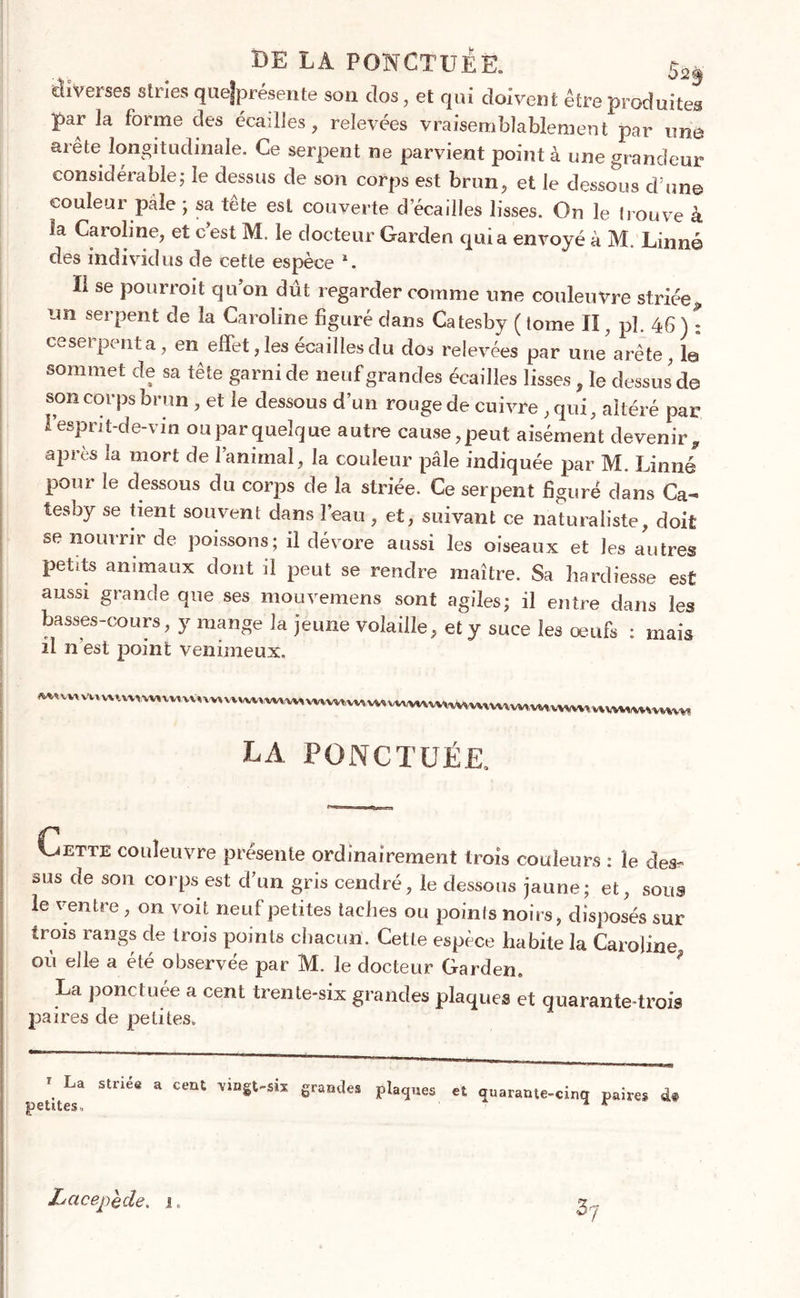 DE LA PONCTUEE. ^ Ûiverses stries quefprésente sou clos, et qui doivent être produites par la forme des écailles, relevées vraisemblablement par une arête longitudinale. Ce serpent ne parvient point à une grandeur considérable; le dessus de son corps est brun, et le dessous d’un© couleui pâle ; sa tête est couverte d’écadles lisses. On le trouve à la Caroline, et cest M. le docteur Garclen quia envoyé à M. Linné des individus de cette espèce 1. Ï1 se pourrait qu’on dût regarder comme une couleuvre striéep un serpent de la Caroline figuré dans Catesby ( tome II, pl. 46 ) : ce serpent a, en effet, les écailles du dos relevées par une arête, le sommet de sa tête garni de neuf grandes écailles lisses, le dessus'de son corps brun , et le dessous d’un rouge de cuivre , qui, altéré par I esprit-de-vin ouparquelque autre cause,peut aisément devenir, après la mort de l’animal, la couleur pâle indiquée par M. Linné pour le dessous du corps de la striée. Ce serpent figuré dans Ca- tesby se tient souvent dans l’eau, et, suivant ce naturaliste, doit se nourrir de poissons ; il dévore aussi les oiseaux et Jes autres petits animaux dont il peut se rendre maître. Sa hardiesse est aussi grande que ses mouvemens sont agiles; il entre dans les basses-cours, y mange la jeune volaille, et y suce les œufs : mais il n’est point venimeux. LA PONCTUÉE, Cette couleuvre présente ordinairement trois couleurs : le des- sus de son corps est d’un gris cendré, le dessous jaune; et, sous le ventre, on voit neuf petites taches ou points noirs, disposés sur trois rangs de trois points chacun. Cette espèce habite la Caroline, où elle a été observée par M. le docteur Garden. La ponctuée a cent trente-six grandes plaques et quarante-trois paires de petites. 1 La striée a cent vingt-six grandes petites. plaques et quarante-cinq paires <â# Lacepède. i