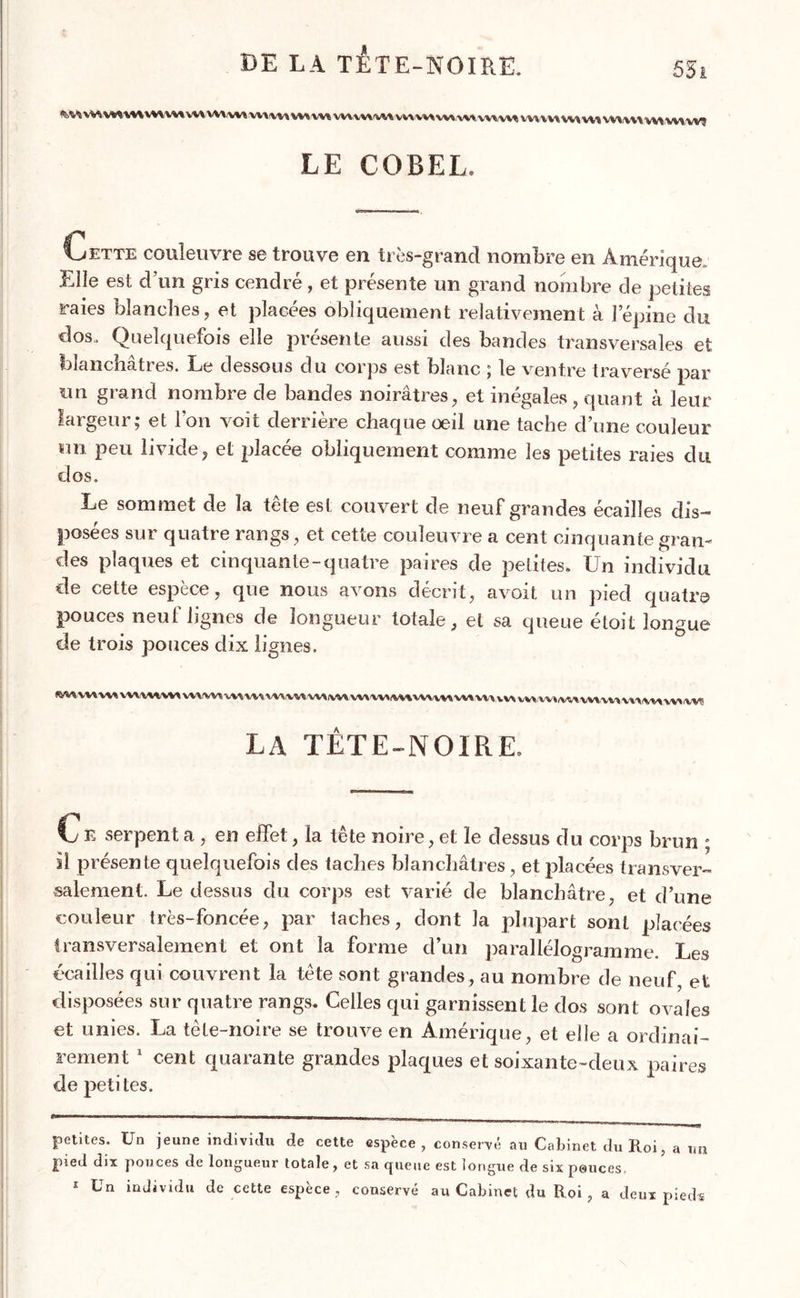 DE LA TÊTE-NOIRE. 55i %WVWMH\ttWW\WVWiVM\lHMWWVWvWWVWWUMWVMWWWWWWM\VWVWWI LE COBEL. Cette couleuvre se trouve en très-grand nombre en Amérique Elle est d’un gris cendré, et présente un grand nombre de petites raies blanches, et placées obliquement relativement à l’épine du dos. Quelquefois elle présente aussi des bandes transversales et blanchâtres. Le dessous du corps est blanc ; le ventre traversé par un grand nombre de bandes noirâtres, et inégales, quant à leur largeur; et l’on voit derrière chaque oeil une tache d’une couleur un peu livide, et placée obliquement comme les petites raies du dos. Le sommet de la tête est couvert de neuf grandes écailles dis- posées sur quatre rangs, et cette couleuvre a cent cinquante gran- des plaques et cinquante-quatre paires de petites. Un individu de cette espèce, que nous avons décrit, avoit un pied quatre pouces neul lignes de longueur totale, et sa queue éloit longue de trois pouces dix lignes. LA TÊTE-NOIRE. CE serpent a , en effet, la tête noire, et le dessus du corps brun ; si présente quelquefois des taches blanchâtres, et placées transver- salement. Le dessus du corps est varié de blanchâtre, et d’une couleur très-foncée, par taches, dont la plupart sont placées transversalement et ont la forme d’un parallélogramme. Les écailles qui couvrent la tête sont grandes, au nombre de neuf, et disposées sur quatre rangs. Celles qui garnissent le dos sont ovales et unies. La tête-noire se trouve en Amérique, et elle a ordinai- rement * 1 cent quarante grandes plaques et soixante-deux paires de petites. petites. Un jeune individu de cette espèce , conservé au Cabinet du Roi, a un pied dix pouces de longueur totale, et sa cjueue est longue de six pouces.