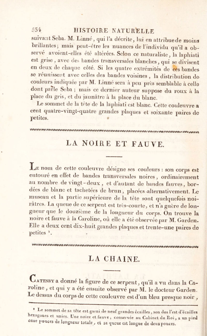 suivant Seba. M. Linné, qui la décrite, lui en attribue de moins brillantes • mais peut-être les nuances de l’individu qu’il a ob- servé a voient-elles été altérées. Selon ce naturaliste, la laphiati est grise , avec des bandes transversales blanches, qui se divisent en deux de chaque côté. Si les quatre extrémités de ces bandes se rtunissent avec celles des bandes voisines , la distribution do couleurs indiquée par M. Linné sera à peu près semblable à celle dont parle Seba ; mais ce dernier auteur suppose du roux à la place du gris, et du jaunâtre à la place du blanc. Le sommet de la tête de la laphiati est blanc. Cette couleuvre a cent quatre-vingt-quatre grandes plaques et soixante paires de petites. ® VVVVVVVVVVVVVWVVVVVVVVVWVVVV^VVVVVVVVVVVVVVVVVVVVVVVW VWVWWWW WV Wv ^vwwwwwvwwvw LA NOIRE ET FAUVE. Le nom de cette couleuvre désigne ses couleurs : son corps est entoure en effet de bandes transversales noires, ordinairement au nombre de vingt-deux , et d’autant de bandes fauves, bor- dées de blanc et tachetées de brun, placées alternativement. Le museau et la partie supérieure de la tête sont quelquefois noi- lâties. 1 -a queue de ce serpent est très-courte, et n’a guère de Ion» gueui que le douzième de la longueur du corps. On trouve la noire et fauve a la Caroline, ou elle a été observée par M. Garden. Elle a deux cent dix-huit grandes plaques et trente-une paires d© petites s. ^VVVVVVVVVVVVVVVVVVVVVV^VVVVVVVVVVVVVVVVVVVV\V\\VVVVVVVV\VVVWVWV\^VVVVVVV>\VVVVVV^^^VVV LA CHAINE, Catesby a donné la figure de ce serpent, qu’il a vu dans la Ca- roline , et qui y a été ensuite observé par M. le docteur Garden. Le dessus du corps de cette couleuvre est d’un bleu presque noir , Le sommet de sa tete est garni de neuf grandes écailles , son dos l’est d’écailles gones et unies. Une noire et, fauve , conservée au Cabinet du Roi, a un jded 1 onces de longueur totale , et sa cjucue est longue de deux pouces»