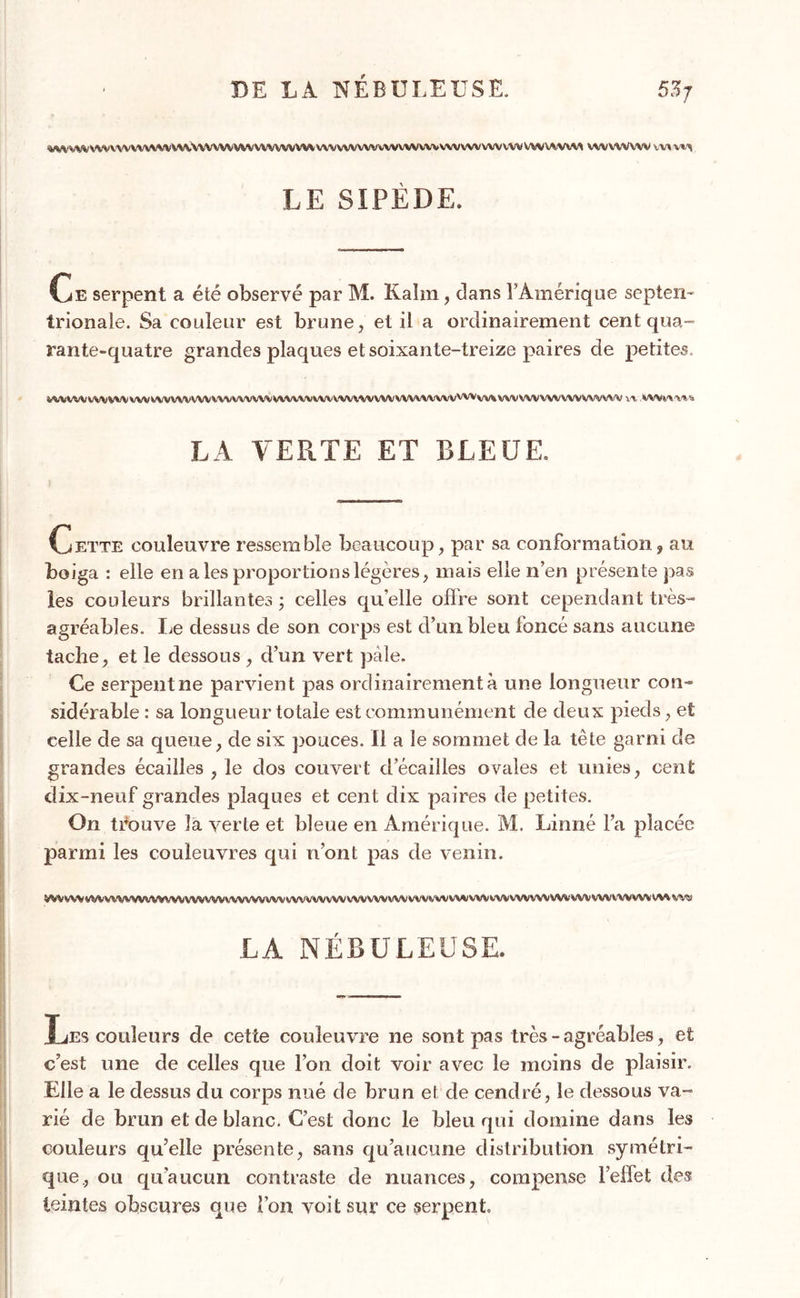 DE LA NÉBULEUSE. %WVWVWVWWWWVW1WVWVVWVWVWVWVWVWVWVWWWWVWVWVWVWVWVWWt VWVWWV Vil LE SIPÈDE. Ce serpent a été observé par M. Kahn, dans l’Amérique septen- trionale. Sa couleur est brune, et il a ordinairement cent qua- rante-quatre grandes plaques et soixante-treize paires de petites, WiWWWVWVWVVVVVVVVVVV'VVVVVVVVVVVVVVVVi'V^/VVVVVVVVVVVVVVVVWVvvWWWVVVVVWWVWV w LA VERTE ET BLEUE. Cette couleuvre ressemble beaucoup, par sa conformation, au boiga : elle en a les proportions légères, mais elle n’en présente pas les couleurs brillantes ; celles qu elle offre sont cependant très- agréables. Le dessus de son corps est d’un bleu foncé sans aucune tache, et le dessous , d’un vert pâle. Ce serpent ne parvient pas ordinairement à une longueur con- sidérable : sa longueur totale est communément de deux pieds, et celle de sa queue, de six pouces. Il a le sommet de la tête garni de grandes écailles , le dos couvert d’écailles ovales et unies, cent dix-neuf grandes plaques et cent dix paires de petites. On trouve la verte et bleue en Amérique. M. Linné l’a placée parmi les couleuvres qui n’ont pas de venin. VVVVVVVVVVVVVVVVVVVVVVVVVVVVVVVVVVVVVWVVVVVVVVVVVVVVVVVVVVVV\*IVVVVVVVVVVVVVV%WVVVVVVVVVYV\\VW LA NÉBULEUSE. Les couleurs de cette couleuvre ne sont pas très - agréables, et c’est une de celles que l’on doit voir avec le moins de plaisir. Elle a le dessus du corps nué de brun et de cendré, le dessous va- rié de brun et de blanc. C’est donc le bleu qui domine dans les couleurs qu’elle présente, sans qu’aucune distribution symétri- que., ou qu’aucun contraste de nuances, compense Feffet des teintes obscures que l’on voit sur ce serpent.