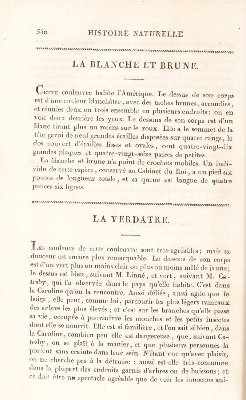 t 'Ww wnwwwvw via wwvww vhw«} LA BLANCHE ET BRCJNE. Cette couleuvre habile l’Amérique. Le dessus de sou corps est d une couleur blanchâtre, avec des taches brunes, arrondies, et réunies deux ou trois ensemble en plusieurs endroits : on en voit deux derrière les yeux. Le dessous de son corps est d’un blanc tirant plus ou moins sur le roux. Elle a le sommet de la tète garni de neuf grandes écailles disposées sur quatre rangs, le dos couvert décaillés lisses et ovales, cent quatre-vingt-dix grandes plaques et quatre-vingt-seize paires de petites. La blanche et brune na point de crochets mobiles. Un indi- vidu de cette espèce, conservé au Cabinet du Loi, a un pied six pouces de longueur totale, et sa queue est longue de quatre pouces six lignes. LA VERDATRE. Les couleurs de cette couleuvre sont très-agréables; mais sa , douceur est encore plus remarquable. Le dessous de son corps est d’un vert plus ou moins clair ou plus ou moins mêlé de jaune; le dessus est bleu, suivant M. Linné, et vert, suivant M. Ca- fesby, qui l a observée dans le pays qu’elle habite. C’est dans la Caroline qu’on la rencontre. Aussi déliée, aussi agile que le Loiga , elle peut, comme lui, parcourir les plus légers rameaux des arbres les plus élevés ; et c’est sur les branches quelle passe sa vie, occupée à poursuivre les mouches et les petits insectes dont elle se nourrit. Elle est si familière, et l’on sait si bien , dans la Caroline, combien peu elle est dangereuse , que, suivant Ca- iesby, on se plaît à la manier, et que plusieurs personnes la poitent sans ctainle dans leur sein. N’étant vue qu’avec plaisir, on lie cherche pas a la détruire : aussi est-elle très-commune ^ans 14 plupart des endroits garnis d’arbres ou de buissons; et do,} être un spectacle agréable que de voir les innocens an U