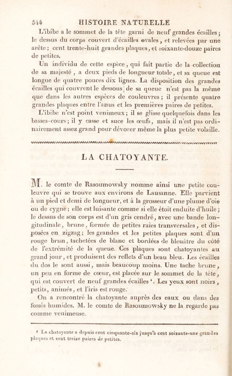 L’ibibe a le sommet de la tête garni de neuf grandes écailles; le dessus du corps couvert d écailles ovales, et relevées par une arête ; cent trente-huit grandes plaques, et soixante-douze paires de petites. Un individu de cette espèce, qui fait partie de la collection de sa majesté , a deux pieds de longueur totale, et sa queue est longue de quatre pouces dix lignes. La disposition des grandes écailles qui couvrent le dessous.de sa queue n’est pas la même que clans les autres espèces de couleuvres ; il présente quatre grandes plaques entre l’anus et les premières paires de petites. L’ibibe n’est point venimeux; il se glisse quelquefois dans les basses-cours; il y casse et suce les oeufs, mais il n’est pas ordi- nairement assez grand pour dévorer même la plus petite volaille. <V\^'VVVVVVVV% VVVVVlVVVVtft VIAAAA1VVI VV\WWl!/\iVV^,VV% WliW/iWX'VII WV(VV% W\fW%'W\/WÎ LA CHATOYANTE. M. le comte de Rasoumowsky nomme ainsi une petite cou- leuvre qui se trouve aux environs de Lausanne. Elle parvient à un pied et demi de longueur, et à la grosseur d’une plume d’oie ou de cygne ; elle est luisante comme si elle étoit enduite d’huile ; le dessus de son corps est d’un gris cendré, avec une bande lon- gitudinale, brune, formée de petites raies transversales, et dis- posées en zigzag ; les grandes et les petites plaques sont d’un rouge brun, tachetées de blanc et bordées de bleuâtre du coté de l’extrémité de la queue. Ces plaques sont chatoyantes au grand jour, et produisent des reflets d’un beau bleu. Les écailles cîu dos le sont aussi, mais beaucoup moins. Une tache brune, un peu en forme de coeur, est placée sur le sommet de la tète, qui est couvert de neuf grandes écailles 1. Les yeux sont noirs , petits, animés, et l’iris est rouge. On a rencontré la chatoyante auprès des eaux ou dans des fossés humides. M. le comte de Rasoumowsky ne la regarde pas comme venimeuse. * La chatoyante a depuis cent cinquante-six jusqu’à cent soixante-une grandes plaques et cent treize paires de petites.