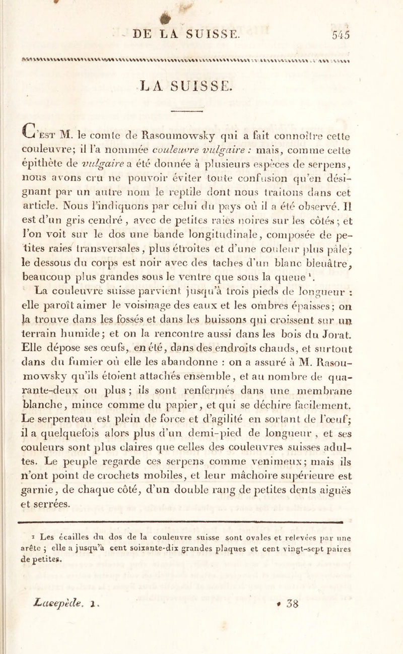 wvv wwwwvtivwvw»vv'ivww»wwvtw»w»i w%imv»\«nu»\w.»/»(W*wvwvw> . i ut ■_%*rvv» LA SUISSE. C’est M. le comte de Rasoumowsky qui a fait connoîire cette couleuvre; il l’a nommée couleuvre vulgaire : mais, comme celte épithète de vulgaire a été donnée à plusieurs espèces de serpens, nous avons cru ne pouvoir éviter toute confusion qu’en dési- gnant par un autre nom le reptile dont nous traitons dans cet article. Nous l’indiquons par celui du pays où il a été observé. Il est d’un gris cendré , avec de petites raies noires sur les côtés ; et l’on voit sur le dos une bande longitudinale, composée de pe- tites raies transversales, plus étroites et d’une couleur plus pâle; le dessous du corps est noir avec des taches d’un blanc bleuâtre, beaucoup plus grandes sous le ventre que sous la queue \ La couleuvre suisse parvient jusqu’à trois pieds de longueur : elle paroît aimer le voisinage des eaux et les ombres épaisses; on la trouve dans les fossés et dans les buissons qui croissent sur un terrain humide; et on la renconlre aussi dans les bois du Jorat. Elle dépose ses œufs, en été, dans des endroits chauds, et surtout dans du fumier où elle les abandonne : on a assuré à M. Rasou- mowsky qu’ils étoient attachés ensemble, et au nombre de qua- rante-deux ou plus ; ils sont renfermés dans une membrane blanche, mince comme du papier, et qui se déchire facilement. Le serpenteau est plein de force et d’agilité en sortant de l’oeuf; il a quelquefois alors plus d’un demi-pied de longueur , et ses couleurs sont plus claires que celles des couleuvres suisses adul- tes. Le peuple regarde ces serpens comme venimeux; mais ils n’ont point de crochets mobiles, et leur mâchoire supérieure est garnie, de chaque côté, cl’un double rang de petites dents aiguës et serrées. J Les écailles du dos de la couleuvre suisse sont ovales et relevées par une arête ; elle a jusqu’à cent soixante-dix grandes plaques et cent vingt-sept paires de petites. Laeepède. l. * 38