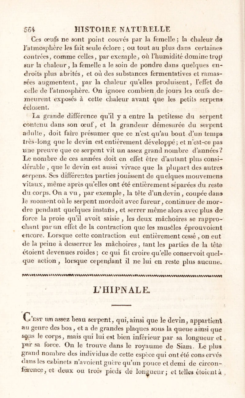 Ces oeufs ne sont point couvés par la femelle ; la Chaleur cl® l'atmosphère les fait seule éclore ; ou tout au plus dans certaines contrées, comme celles, par exemple, où l’humidité domine trçp sur la chaleur, la femelle a le soin de pondre dans quelques en- droits plus abrités, et où des substances fermentatives et ramas- sées augmentent, par la chaleur qu’elles produisent, l’effet de celle de l’atmosphère. On ignore combien de jours les oeufs de- meurent exposés à cette chaleur avant que les petits serpens éclosent. La grande différence qu’il y a entre la petitesse du serpent contenu dans son oeuf, et la grandeur démesurée du serpent adulte, doit faire présumer que ce n’est qu’au bout cl’un temps très-long que le devin est entièrement développé; et n’eSt-ce pas une preuve que ce serpent vit un assez grand nombre d’années ? Le nombre de ces années doit en effet être d’autant plus consi- dérable , que le devin est aussi vivace que la plupart des autres serpens. Ses différentes parties jouissent de quelques mouvemens vitaux, même après quelles ont été entièrement séparées du reste du corps. On a vu, par exemple, la tête d’un devin, coupée dans le moment où le serpent mordoit avec fureur, continuer de mor- dre pendant quelques instahs, et serrer même alors avec plus de? force la proie qu’il avoit saisie , les deux mâchoires se rappro- chant par un effet de la contraction que les muscles éprouvoient encore. Lorsque cette contraction eut entièrement cessé , on eut de la peine à desserrer les mâchoires, tant les parties de la têtè éloient devenues roides ; ce qui fil croire quelle conservoit quel- que action, lorsque cependant il ne lui en reste plus aucune. WVW* \1\l\WiW%imf% VW\XW iV%WV\'WWWVHrfVW (V%%<V%W%%&amp;WV%t L’IIIPN ALE. V/est un assez beau serpent, qui, ainsi que le devin, appartient au genre des boa, et a de grandes plaques sous la queue ainsi que sçus le corps, mais qui lui est bien inférieur par sa longueur et par sa force. On le trouve dans le royaume de Siam. Le plus grand nombre des individus de cette espèce qui ont été conservés dans les cabinets n avoient guère qu’un pouce et demi de circon- férence, et deux ou trois pieds de longueur; et telles étoientà
