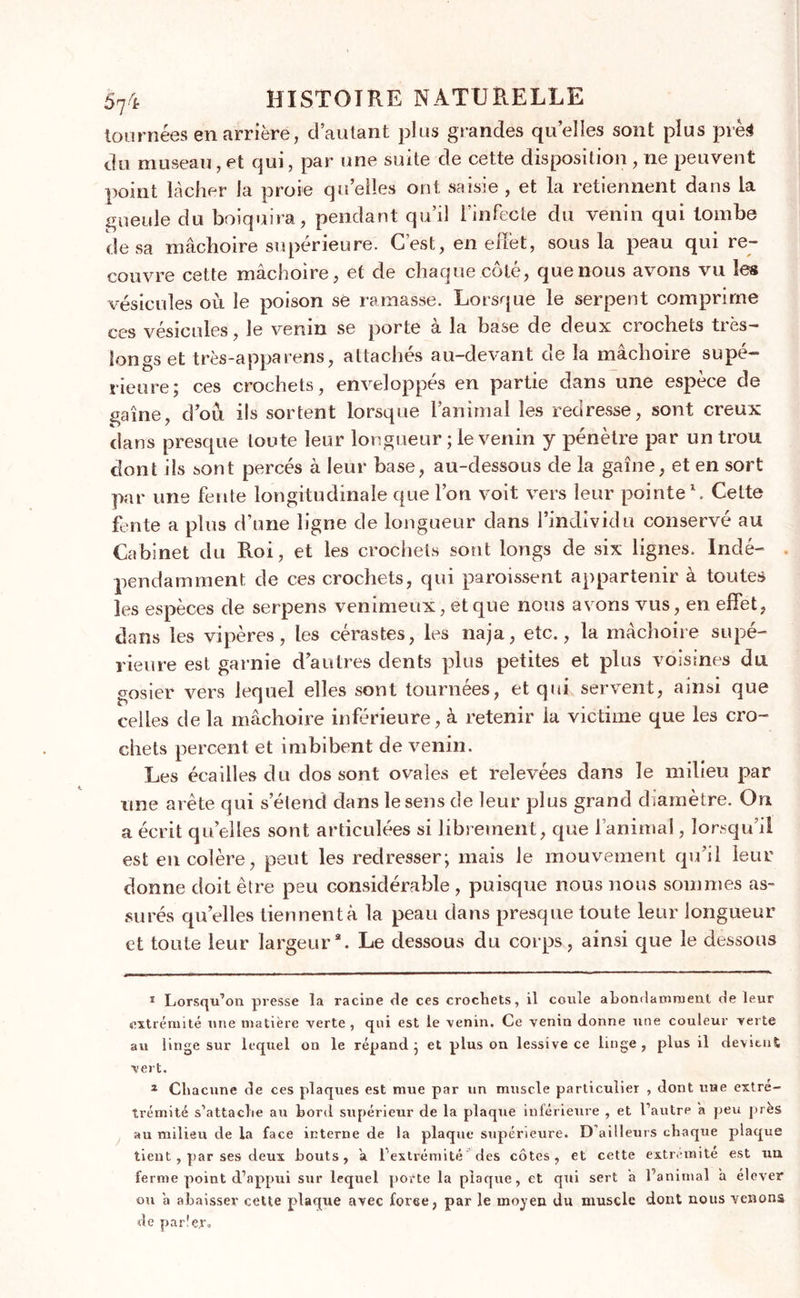 tournées en arrière, d’autant plus grandes quelles sont plus prèd du museau, et qui, par une suite de cette disposition , ne peuvent point lâcher la proie quelles ont saisie , et la retiennent dans la gueule du boiquira, pendant qu’il l'infecte du venin qui tombe de sa mâchoire supérieure. C’est, en effet, sous la peau qui re- couvre cette mâchoire, et de chaque côté, que nous avons vu les vésicules où le poison se ramasse. Lorsque le serpent comprime ces vésicules, le venin se porte à la base de deux crochets très- longs et très-apparens, attachés au-devant de la mâchoire supé- rieure; ces crochets, enveloppés en partie dans une espèce de gaine, d’où ils sortent lorsque l’animal les redresse, sont creux dans presque toute leur longueur ; le venin y pénètre par un trou dont ils sont percés à leur base, au-dessous de la gaine, et en sort par une fente longitudinale que l’on voit vers leur pointe1 2. Cette fente a plus d’une ligne de longueur dans l’individu conservé au Cabinet du Roi, et les crochets sont longs de six lignes. Indé- . pendamment de ces crochets, qui paroissent appartenir à toutes les espèces de serpens venimeux, et que nous avons vus, en effet, dans les vipères, les cérastes, les naja, etc., la mâchoire supé- rieure est garnie d’autres dents plus petites et plus voisines du gosier vers lequel elles sont tournées, et qui servent, ainsi que celles de la mâchoire inférieure, à retenir la victime que les cro- chets percent et imbibent de venin. Les écailles du dos sont ovales et relevées dans le milieu par une arête qui s’éiend dans le sens de leur plus grand d iamètre. On a écrit qu’elles sont articulées si librement, que l’animal, lorsqu’il est en colère, peut les redresser; mais le mouvement qu’il leur donne doit être peu considérable , puisque nous nous sommes as- surés quelles tiennent à la peau dans presque toute leur longueur et toute leur largeur3. Le dessous du corps, ainsi que le dessous 1 Lorsqu’on presse la racine de ces crochets, il coule abondamment de leur extrémité une matière verte , qui est le venin. Ce venin donne une couleur verte au linge sur lequel on le répand; et plus on lessive ce linge, plus il devient vert. 2 Chacune de ces plaques est mue par un muscle particulier , dont une extré- trémité s’attache au bord supérieur de la plaque inférieure , et l’autre a peu près au milieu de la face interne de la plaque supérieure. D’ailleurs chaque plaque tient , par ses deux bouts, a l’extrémité des côtes, et cette extrémité est un ferme point d’appui sur lequel porte la plaque, et qui sert a l’animal a élever ou a abaisser cette plaque avec force, par le moyen du muscle dont nous venons de par!e.r»