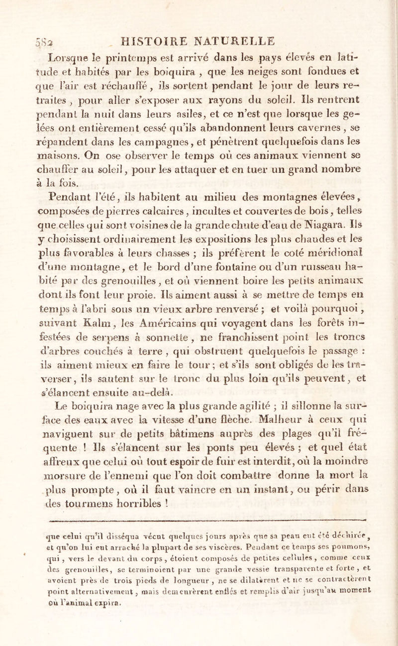 Lorsque îe printemps est arrivé dans les pays élevés en lati- tude et habités par les boiquira , que les neiges sont fondues et que l’air est réchauffé, ils sortent pendant le jour de leurs re- traites , pour aller s’exposer aux rayons du soleil. Ils rentrent pendant la nuit dans leurs asiles, et ce n’est que lorsque les ge- lées ont entièrement cessé qu’ils abandonnent leurs cavernes , se répandent dans les campagnes, et pénètrent quelquefois dans les maisons. On ose observer le temps où ces animaux viennent se chauffer au soleil, pour les attaquer et en tuer un grand nombre à la fois. Pendant l’été, ils habitent au milieu des montagnes élevées, composées de pierres calcaires, incultes et couvertes de bois, telles que celles qui sont voisines de la grande chute d’eau de Niagara. Ils y choisissent ordinairement les expositions les plus chaudes et les plus favorables à leurs chasses ; ils préfèrent le coté méridional d’une montagne, et le bord d’une fontaine ou d’un ruisseau ha- bité par des grenouilles, et où viennent boire les petits animaux dont ils font leur proie. Ils aiment aussi à se mettre de temps en temps à l’abri sous un vieux arbre renversé ; et voilà pourquoi, suivant Kalrn, les Américains qui voyagent dans les forêts in- festées de serpens à sonnette , ne franchissent point les troncs d’arbres couchés à terre , qui obstruent quelquefois le passage : ils aiment mieux en faire le tour; et s’ils sont obligés de les tra- verser, ils sautent sur le tronc du plus loin qu’ils peuvent, et s’élancent ensuite au-delà. Le boiquira nage avec la plus grande agilité ; il sillonne la sur- face des eaux avec la vitesse d’une flèche. Malheur à ceux qui naviguent sur de petits bâtimens auprès des plages qu’il fré- quente ! Ils s’élancent sur les ponts peu élevés ; et quel état affreux que celui où tout espoir de fuir est interdit, où la moindre morsure de l’ennemi que l’on doit combattre donne la mort la plus prompte, où il faut vaincre en un instant, ou périr dans des tour mens horribles ! que celui qu’il disséqua •vécut quelques jours après que sa peau eut été décnireej et qu’on lui eut arracké la plupart de ses viscères. Pendant ce temps ses poumons, qui , vers le devant du corps, étoient composés de petites cellules, comme ceux des grenouilles, se terminoient par une grande vessie transparente et lorte , et avoient près de trois pieds de longueur , ne se dilatèrent et ne se contractèrent point alternativement, mais demeurèrent enllcs et remplis d'air jusqu’au moment où l’animal expira.