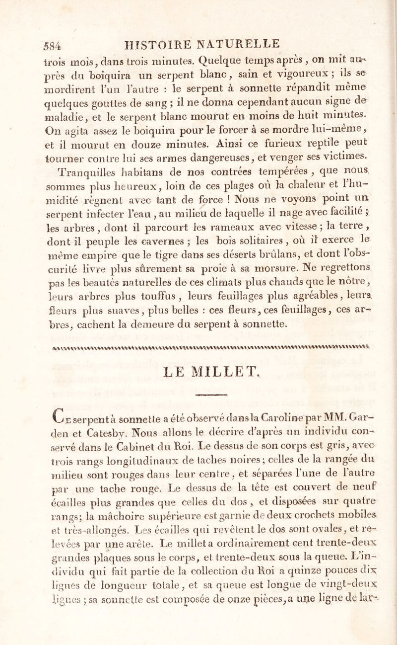 trois mois, clans trois minutes. Quelque temps après , on mit au~ près clu boiquira un serpent blanc, sain et vigoureux ; ils se mordirent Fun l’autre : le serpent à sonnette répandit meme quelques gouttes de sang ; il ne donna cependant aucun signe do maladie, et le serpent blanc mourut en moins de huit minutes. On agita assez le boiquira pour le forcer à se mordre lui-même, et il mourut en douze minutes. Ainsi ce furieux reptile peut • • tourner contre lui ses armes dangereuses, et venger ses victimes. Tranquilles habitans de nos contrées tempérées , que nous sommes plus heureux, loin de ces plages où la chaleur et 1 hu- midité régnent avec tant de force ! Nous ne voyons point un serpent infecter l’eau , au milieu de laquelle il nage avec facilité ; les arbres, dont il parcourt les rameaux avec vitesse ; la terre , dont il peuple les cavernes ; les bois solitaires, où il exerce le même empire que le tigre dans ses déserts brûlans, et dont l’obs- curité livre plus sûrement sa proie à sa morsure. Ne regrettons pas les beautés naturelles de ces climats plus chauds que le nôtre, leurs arbres plus touffus, leurs feuillages plus agréables, leurs, fleurs plus suaves, plus belles : ces fleurs, ces feuillages, ces ar- bres, cachent la demeure du serpent à sonnette. v>vu\Hv\v\m\u\ vvvw^wwv* vvivnvi^v%vw*\v*v*\ v\vw>v\tvviv\'*\v\vv* wwm w\ wwvv LE MILLETo. e serpent à sonnette a été observé dansla Caroline par MM. Gar- den et Catesbv. Nous allons le décrire d’après un individu con- servé dans le Cabinet du Roi. Le dessus de son corps est gris, avec trois rangs longitudinaux de taches noires; celles de la rangée du milieu sont rouges dans leur centre, et séparées lune de l’autre par une tache rouge. Le dessus de la tete est couvert de neuf écailles plus grandes que celles du dos , et disposées sur quatre rangs; la mâchoire supérieure est garnie de deux crochets mobiles et très-allongés. Les écailles qui revêtent le dos sont ovales, et re- levées par une arête. Le millet a ordinairement cent trente-deux grandes plaques sous le corps, et trente-deux sous la queue, L in- dividu qui fait partie de la collection clu Roi a quinze pouces dix lignes de longueur totale, et sa queue est longue cle vingt-deux lignes ; sa sonnette est composée de onze pièces,a une ligne de lax-