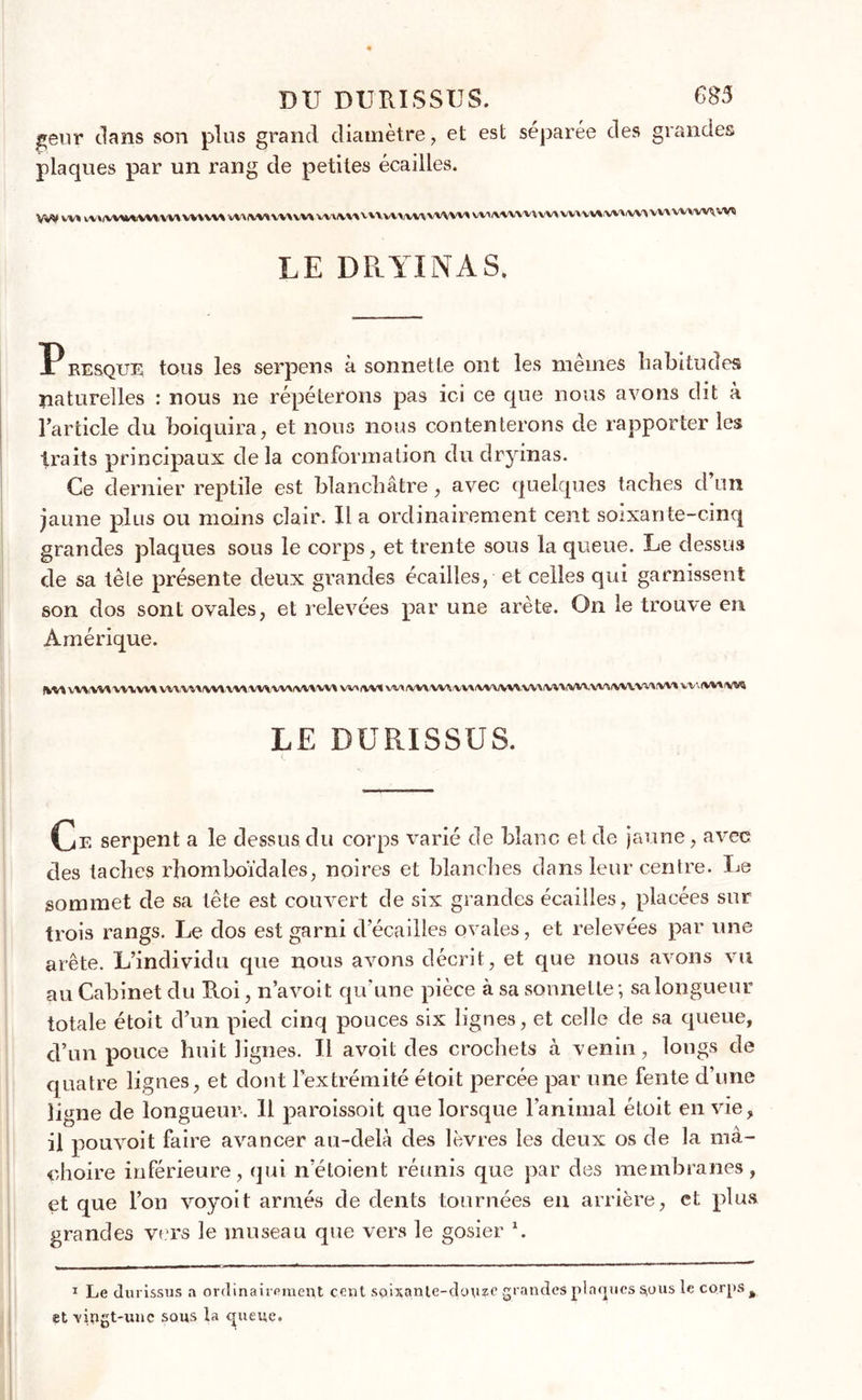 DU DURISSUS. 685 geur clans son plus grand diamètre, et est séparée des grandes plaques par un rang de petites écailles. VW W» W liVVUAWI VU VVVYV> vV\fVV«VVHV\ VVV\»\X V\vVVVV*\vvvv< VWVVWMW» W1VMVV1WVVVVt^W\VM LE DRYINAS. RESQUE tous les serpens à sonnette ont les mêmes habitudes naturelles : nous ne répéterons pas ici ce que nous avons dit à l’article du boiquira, et nous nous contenterons de rapporter les traits principaux delà conformation du dryinas. Ce dernier reptile est blanchâtre, avec quelques taches d’un jaune plus ou moins clair. Il a ordinairement cent soixante-cinq grandes plaques sous le corps, et trente sous la queue. Le dessus de sa tête présente deux grandes écailles, et celles qui garnissent son dos sont ovales, et relevées par une arête. On le trouve en Amérique. ItMWMMWVWt VVVtWMVlMMWVWWM W»fWI W\iWWV^/W\iWWVWV\/VWWWV\(WVW\(W* VV.IWVW4 LE DURISSUS. Ce serpent a le dessus du corps varié de blanc et de jaune, avec des taches rhomboïdales, noires et blanches clans leur centre. Le sommet de sa tête est couvert de six grandes écailles, placées sur trois rangs. Le dos est garni d’écailles ovales, et relevées par une arête. L’individu que nous avons décrit, et que nous avons vu au Cabinet du Roi, n’avoit qu’une pièce à sa sonnette; sa longueur totale étoit d’un pied cinq pouces six lignes, et celle de sa queue, d’un pouce huit lignes. Il avoit des crochets à venin, longs de quatre lignes, et dont l’extrémité étoit percée par une fente d’une ligne de longueur. Il paroissoit que lorsque l’animal étoit en vie, il pouvoit faire avancer au-delà des lèvres les deux os de la mâ- choire inférieure, qui netoient réunis que par des membranes, et que l’on voyoit armés de dents tournées en arrière, et plus grandes vers le museau que vers le gosier L 1 Le durissus a ordinairement cent soixante-douze grandes plaques ^ous le corps % et \ingt-unc sous la queue.