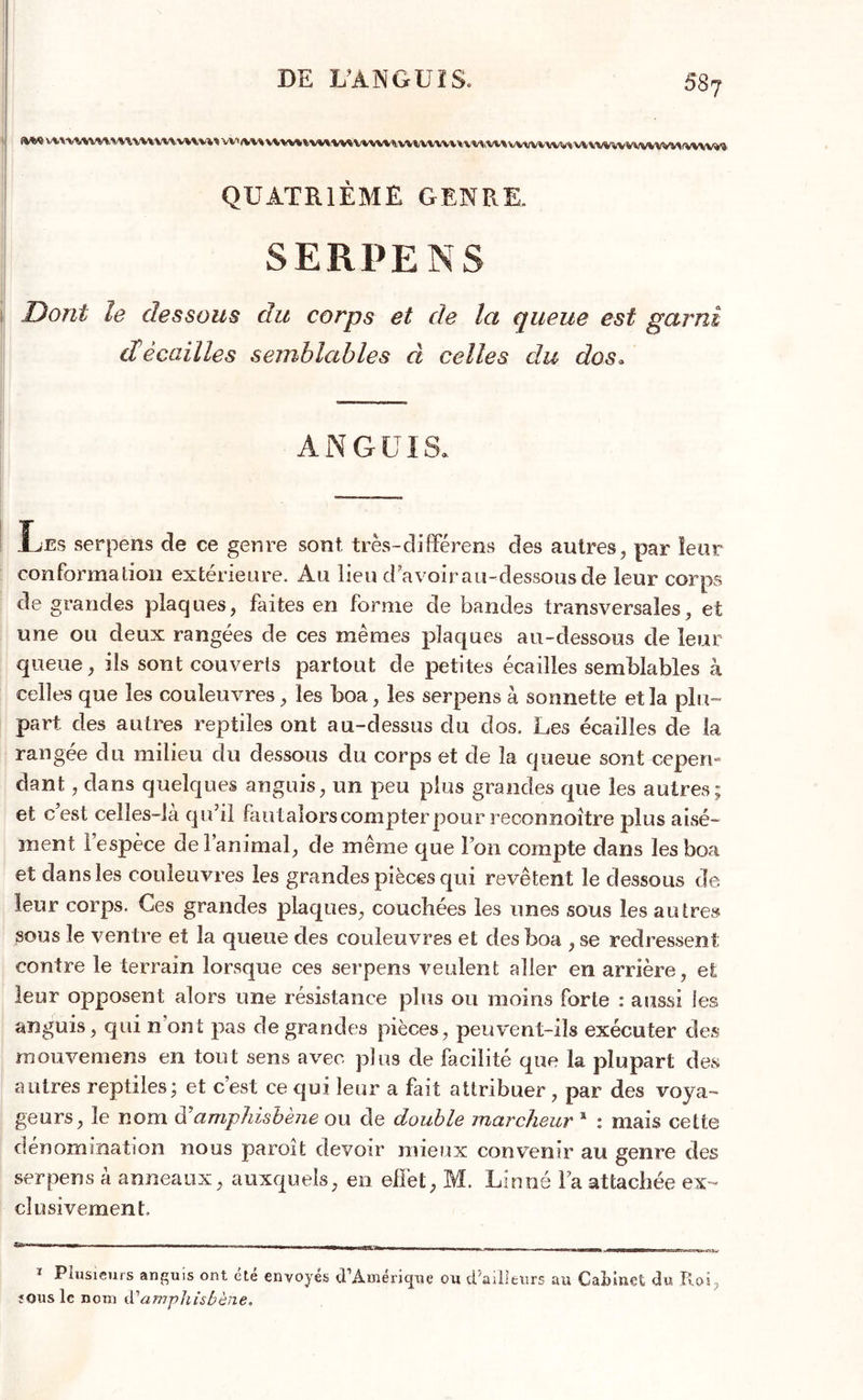 DE I/ÀNGUÏS. V%\Vb1 W« f%f%% V%| VV^VVVV%\ VVVVVVVV UHiWI WWVWVIV\ WWV VWWVVl fWWVty QUATRIÈME GENRE. SERPENS Dont le dessous du corps et de la queue est garni clécailles semblables cl celles du dos» ANGUIS, ÎjEs serpens de ce genre sont très-différent des autres, par leur conformation extérieure. Au lieu d’avoir au-dessous de leur corps de grandes plaques, faites en forme de bandes transversales, et une ou deux rangées de ces mêmes plaques au-dessous de leur queue, ils sont couverts partout de petites écailles semblables à celles que les couleuvres, les boa, les serpens à sonnette et la plu- part des autres reptiles ont au-dessus du dos. Les écailles de fa rangée du milieu du dessous du corps et de la queue sont cepeiu dant, dans quelques anguis, un peu plus grandes que les autres; et c’est celles-là qu’il faulaîors compter pour reconnoître plus aisé- ment 1 espèce de l’animal, de même que l’on compte dans les boa et dans les couleuvres les grandes pièces qui revêtent le dessous de leur corps. Ces grandes plaques, couchées les unes sous les autre» sous le ventre et la queue des couleuvres et des boa , se redressent contre le terrain lorsque ces serpens veulent aller en arrière, et leur opposent alors une résistance plus ou moins forte : aussi les anguis, qui n ont pas de grandes pièces, peuvent-ils exécuter des raouvemens en tout sens avec plus de facilité que la plupart des autres reptiles; et cest ce qui leur a fait attribuer , par des voya- geurs, le nom d’amphisbène ou de double marcheur 1 : mais cette dénomination nous paroit devoir mieux convenir au genre des serpens à anneaux, auxquels, en effet, M. Linné Fa attachée ex- clusivement. — . . —•— tw ■ mi iiiimr'r-n - -1 . . -1 11 11 an ||H|||| 1 Plusieurs anguis ont été envoyés d’Amérique ou d’ailleurs au Cabinet du Roi, îOuslc nom d'amphisbène,