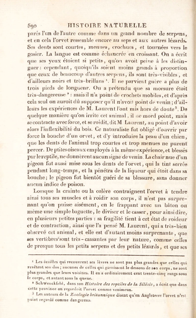 parés Fun de l’autre comme dans un grand nombre de serpens, et en cela l’orvet ressemble encore au seps et aux autres lézards. Ses dents sont courtes, menues, crochues, et tournées vers le gosier. La langue est comme échancrée en croissant. On a écrit que ses yeux étoient si petits , qu’on avoit peine à les distin- guer : cependant, quoiqu’ils soient moins grands à proportion que ceux de beaucoup d’autres serpens, ils sont très-visibles , et d’ailleurs noirs et très-brillans \ Il ne parvient guère a plus de trois pieds de longueur. Ou a prétendu que sa morsure étoit très-dangereuse s : mais il n’a point de crochets mobiles, et d’après cela seul on auroit dû supposer qu’il n’a voit point de venin ; d’ail- leurs les expériences de M. Laurent l’ont mis hors de doute1 * 3. De quelque manière qu’on irrite cet animal. il ne mord point, mais se contracte avec force, et se roidit, dit M Laurent, au point d’avoir alors l’inflexibilité du bois. Ce naturaliste fut obligé d’ouvrir par force la bouche d’un orvet, et d’y introduire la peau d’un chien, que les dents de l’animal trop courtes et trop menues ne purent percer. De ptites oiseaux employés à la même expérience, et blessés par le repli le, ne donnèrent aucun signe de venin. La chair nue d’un pigeon fut aussi mise sous les dents de l’orvet, qui la tint serrée pendant long-temps, et la pénétra de la liqueur qui étoit dans sa bouche; le pigeon fut bientôt guéri de sa blessure, sans donner aucun indice de poison. Lorsque la crainte ou la colère contraignent l’orvet à tendre ainsi tous ses muscles et à roidir son corps, il n’est pas surpre- nant qu’on puisse aisément, en le frappant avec un bâton ou même une simple baguette, le diviser et le casser, pour ainsi dire, en plusieurs petites parties : sa fragilité tient à cet état de roideur et de contraction, ainsi que l’a pensé M. Laurent, qui a très-bien observé cet animal, et elle est d’autant moins surprenante, que ses vertèbres^sont très-cassantes par leur nature, comme celles de presque tous les petits serpens et des petits lézards, et que ses 1 Les écailles qui recouvrent ses lèvres 11e sont pas plus grandes que celles qui revêtent son dos ; aucunes de celles qui garnissent le dessous de s®n corps, ne sont plus grandes que leurs voisines. 11 en a ordinairement cent trente-cinq rangs sous le corps, et autant sous la queue. * Schwenckfeld, dans son Histoire des reptiles de la Silésie, a écrit que dans cette provmce on regardoit l’orvet comme venimeux. ^ Les auteurs de la Zoologie britannique disent qu’en Angleterre l’orvet n’est point regardé comme dangereux..
