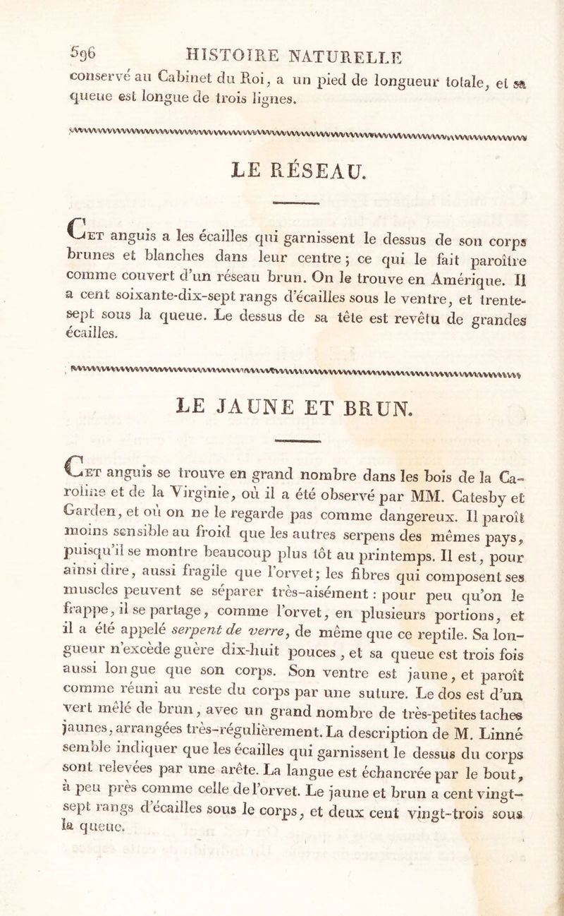 conserve au Cabinet du Roi, a un pied de longueur totale, el sa queue est longue de trois lignes. ,Ç/VVVVVVVVVVVVVVVVVVVVVVVVVVVVVVVVVVVVVVVVVV\A/VVVVVVVVVVVVVVVVVVVVVVVVVVVVVVVVV|/\VVVVVVVVVVVVVV^ LE PiÉSEAü. f1 et anguis a les écaillés qui garnissent le dessus de son corps bi unes et bîancîies dans leur centre ; ce qui le fait paroître comme couvert d’un réseau brun. On le trouve en Amérique. II a cent soixante-dix-sept rangs d écaillés sous le ventre, et trente- sept sous la queue. Le dessus de sa tête est revêtu de grandes écailles. LE JAUNE ET BRUN. t^ET anguis se trouve en grand nombre dans les bois de la Ca- roline et de la Virginie, où il a été observé par MM. Catesby et Gard en, et où on ne le regarde pas comme dangereux. Il paroît moins sensible au froid que les autres serpens des mêmes pays, puisqu’il se montre beaucoup plus lot au printemps. Il est, pour ainsi dire, aussi fragile que l’orvet; les fibres qui composent ses muscles peuvent se séparer tres-aisement : pour peu qu’on le frappe, il se partage, comme l’orvet, en plusieurs portions, et il a été appelé serpent de verre, de même que ce reptile. Sa lon- gueur n excede guèie dix-3iuit pouces , et sa queue est trois fois aussi lon gue que son corps. Son ventre est jaune, et paroît comme réuni au reste du corps par une suture. Le dos est d’un veit mêlé de brun, avec un grand nombre de très-petites tache® jaunes, arrangées très-régulièrement. La description de M. Linné semble Indiquer que les écailles qui garnissent le dessus du corps sont relevées par une arête. La langue est échancréepar le bout, à peu pi èa comme cede ciel orvet. Le jaune et brun a cent vingt— s^pt iangs d écaillés sous le corps, et deux cent vingt-trois sous la queue.