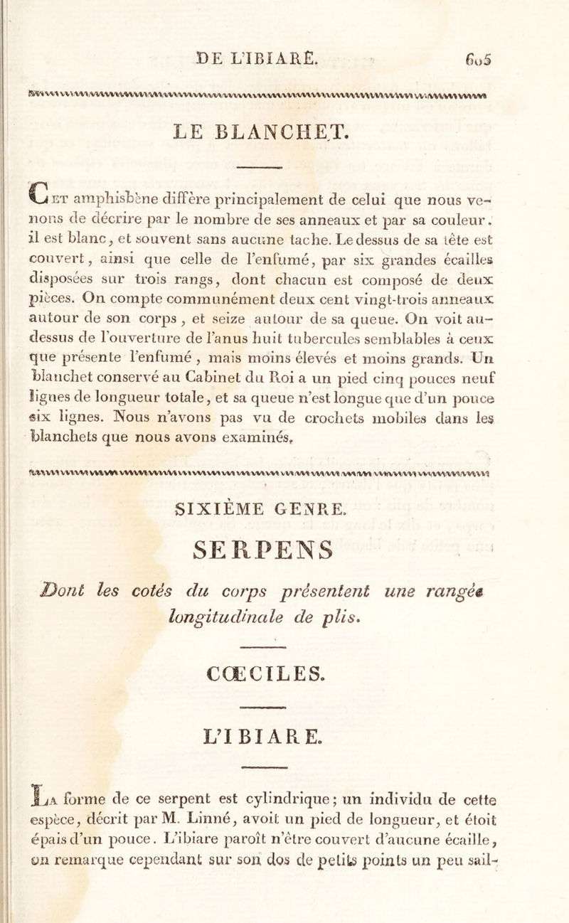 DE L’IBIARË. CoS VV\VH\U\VtV^tV\ v\^ IVAWWVWv* uawwmwwwvvwuvwvwwvvawhvi vv V |VWVV\ w\w% LE BLANCHET. Cet araphisb'ene diffère principalement de celai que nous ve- nons de décrire par le nombre de ses anneaux et par sa couleur, il est blanc , et souvent sans aucune tache. Le dessus de sa tète est couvert, ainsi que celle de l’enfumé, par six grandes écailles disposées sur trois rangs, dont chacun est composé de deux pièces. On compte communément deux cent vingt-trois anneaux autour de son corps , et seize autour de sa queue. On voit au- dessus de l’ouverture de l’anus huit tubercules semblables à ceux que présente l’enfumé , mais moins élevés et moins grands. Un LIanchet conservé au Cabinet du Roi a un pied cinq pouces neuf lignes de longueur totale, et sa queue n’est longue que d’un pouce six lignes. Nous n’avons pas vu de crochets mobiles dans les blanchets que nous avons examinés. MW ww vnvnwuM w » vvivvt w* vv» w> vv* vm tw\ ww w rvv* vvkvvw^i WWMMWWVM SIXIÈME GENRE, SERPENS Dont les cotés du corps présentent une rangéê longitudinale de plis. CŒCÏLES. L’IBIARE. Îja forme de ce serpent est cylindrique; un individu de cette espèce, décrit par M. Linné, avoit un pied de longueur, et étoit épais d’un pouce. L’ibiare paroît n’ètre couvert d’aucune écaille, on remarque cependant sur son dos de petits points un peu sait-