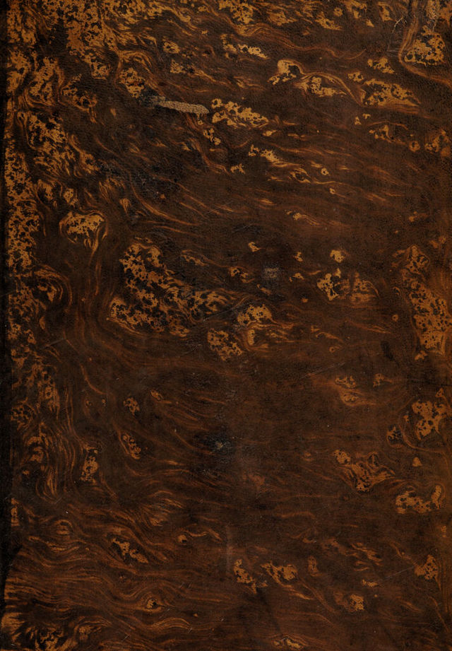 digitised image 1