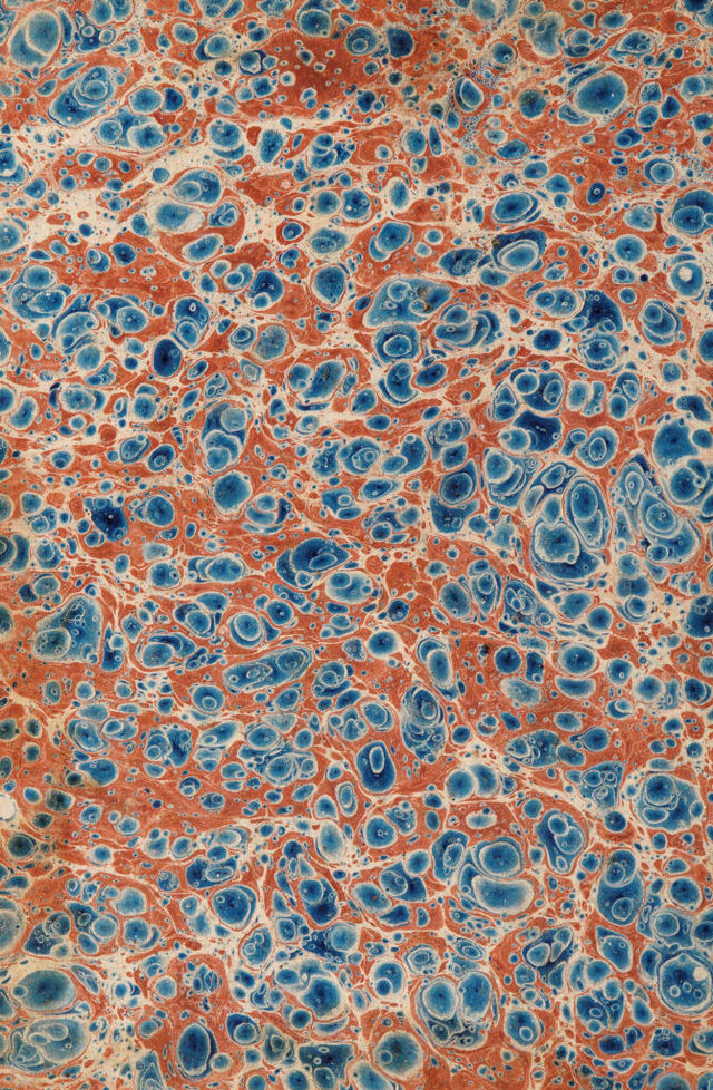 digitised image 2