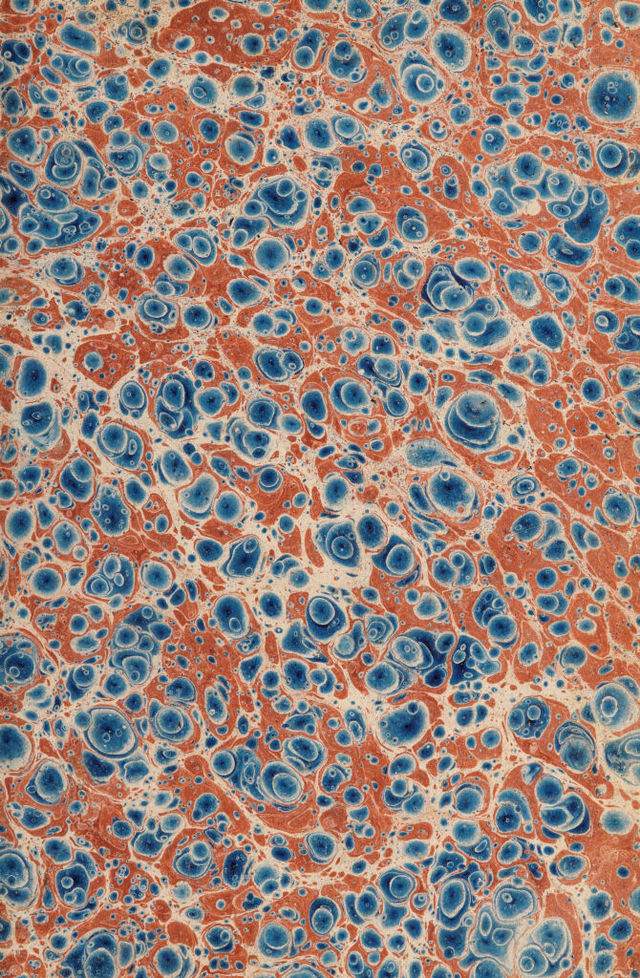 digitised image 3