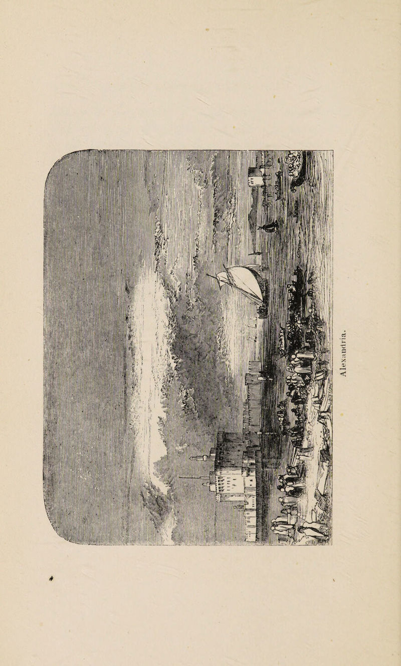 * Alexandria