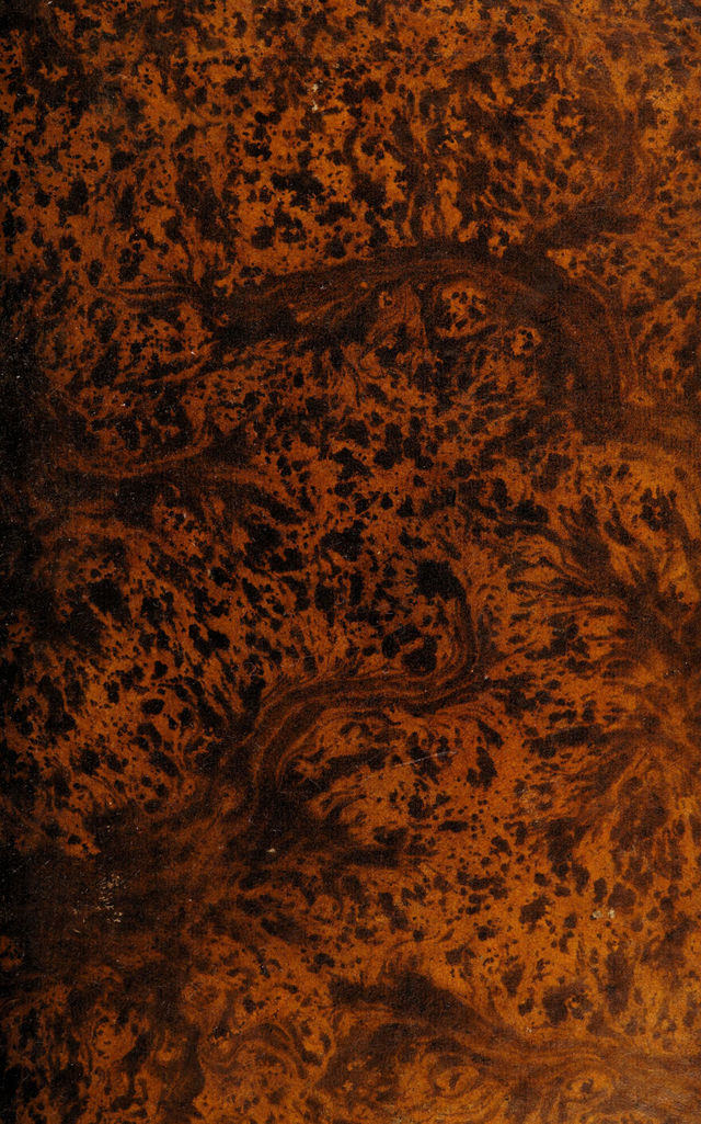 digitised image 1