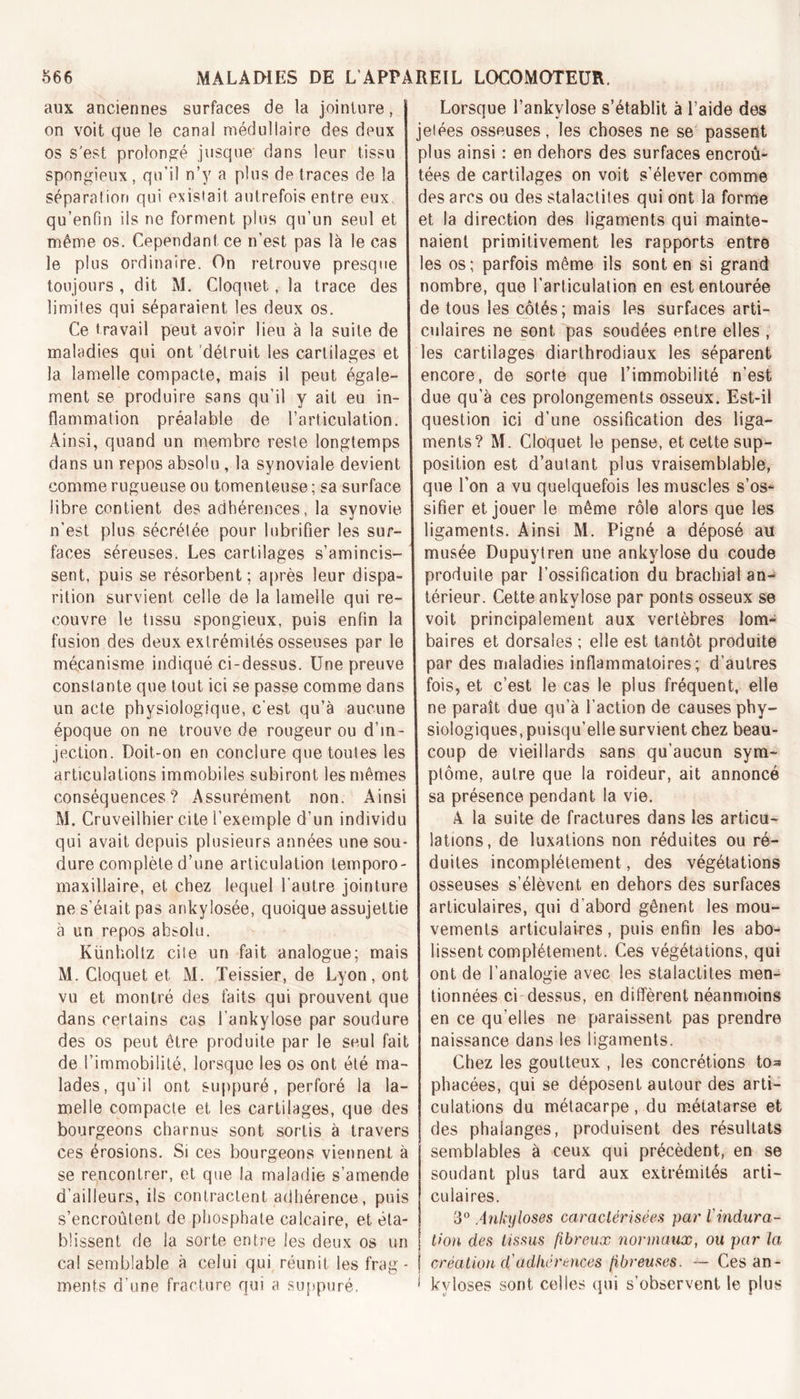 aux anciennes surfaces de la jointure, on voit que le canal médullaire des deux os s'est prolongé jusque dans leur tissu spongieux , qu’il n’y a plus de traces de la séparation qui existait autrefois entre eux qu’enfin ils ne forment plus qu’un seul et même os. Cependanl ce n’est pas là le cas le plus ordinaire. On retrouve presque toujours , dit M. Cloquet, la trace des limites qui séparaient les deux os. Ce travail peut avoir lieu à la suite de maladies qui ont détruit les cartilages et la lamelle compacte, mais il peut égale- ment se produire sans qu’il y ait eu in- flammation préalable de l’articulation. Ainsi, quand un membre reste longtemps dans un repos absolu , la synoviale devient comme rugueuse ou tomenteuse ; sa surface libre contient des adhérences, la svnovie n’est plus sécrétée pour lubrifier les sur- faces séreuses. Les cartilages s’amincis- sent, puis se résorbent; après leur dispa- rition survient celle de la lamelle qui re- couvre le tissu spongieux, puis enfin la fusion des deux extrémités osseuses par le mécanisme indiqué ci-dessus. Une preuve constante que tout ici se passe comme dans un acte physiologique, c’est qu’à aucune époque on ne trouve de rougeur ou d’in- jection. Doit-on en conclure que toutes les articulations immobiles subiront les mêmes conséquences? Assurément non. Ainsi M. Cruveilhier cite i’exemple d’un individu qui avait depuis plusieurs années une sou- dure complète d’une articulation temporo- maxillaire, et chez lequel l’autre jointure ne s’était pas ankylosée, quoique assujettie à un repos absolu. Künholtz cite un fait analogue; mais M. Cloquet et M. Teissier, de Lyon, ont vu et montré des faits qui prouvent que dans certains cas l’ankylose par soudure des os peut être produite par le seul fait de l’immobilité, lorsque les os ont été ma- lades, qu’il ont suppuré, perforé la la- melle compacte et les cartilages, que des bourgeons charnus sont sortis à travers ces érosions. Si ces bourgeons viennent à se rencontrer, et que la maladie s’amende d’ailleurs, ils contractent adhérence, puis s’encroûtent de phosphate calcaire, et éta- blissent de la sorte entre les deux os un cal semblable à celui qui réunit les frag- ments d’une fracture qui a suppuré. Lorsque l’ankvlose s’établit à l’aide des jelées osseuses, les choses ne se passent plus ainsi : en dehors des surfaces encroû- tées de cartilages on voit s’élever comme des arcs ou des stalactites qui ont la forme et la direction des ligaments qui mainte- naient primitivement les rapports entré les os; parfois même ils sont en si grand nombre, que l’articulation en est entourée de tous les côtés; mais les surfaces arti- culaires ne sont pas soudées entre elles , les cartilages diarthrodiaux les séparent encore, de sorte que l’immobilité n’est due qu’à ces prolongements osseux. Est-il question ici d’une ossification des liga- ments? M. Cloquet le pense, et cette sup- position est d’aulant plus vraisemblable, que l’on a vu quelquefois les muscles s’os- sifier et jouer le même rôle alors que les ligaments. Ainsi M. Pigné a déposé au musée Dupuytren une ankylosé du coude produite par l’ossification du brachial an-^ térieur. Cette ankylosé par ponts osseux se voit principalement aux vertèbres lom- baires et dorsales ; elle est tantôt produite par des maladies inflammatoires; d’autres fois, et c’est le cas le plus fréquent, elle ne paraît due qu’à l’action de causes phy- siologiques, puisqu’elle survient chez beau- coup de vieillards sans qu’aucun sym- ptôme, autre que la roideur, ait annoncé sa présence pendant la vie. A la suite de fractures dans les articu- lations, de luxations non réduites ou ré- duites incomplètement, des végétations osseuses s’élèvent en dehors des surfaces articulaires, qui d’abord gênent les mou- vements articulaires, puis enfin les abo- lissent complètement. Ces végétations, qui ont de l’analogie avec les stalactites men- tionnées ci dessus, en diffèrent néanmoins en ce qu’elles ne paraissent pas prendre naissance dans les ligaments. Chez les goutteux , les concrétions to=* phacées, qui se déposent autour des arti- culations du métacarpe, du métatarse et des phalanges, produisent des résultats semblables à ceux qui précèdent, en se soudant plus tard aux extrémités arti- culaires. 3° Ankylosés caractérisées par l'indura- tion des tissus fibreux normaux, ou par la création cl adhérences fibreuses. — Ces an- ‘ kyloses sont celles qui s’observent le plus