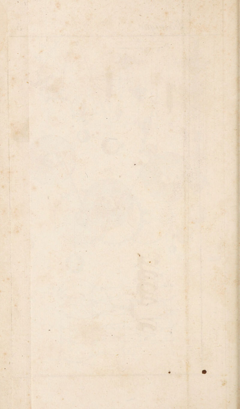 a 1 4 f 1 I :A 4 * J* . » i J| #