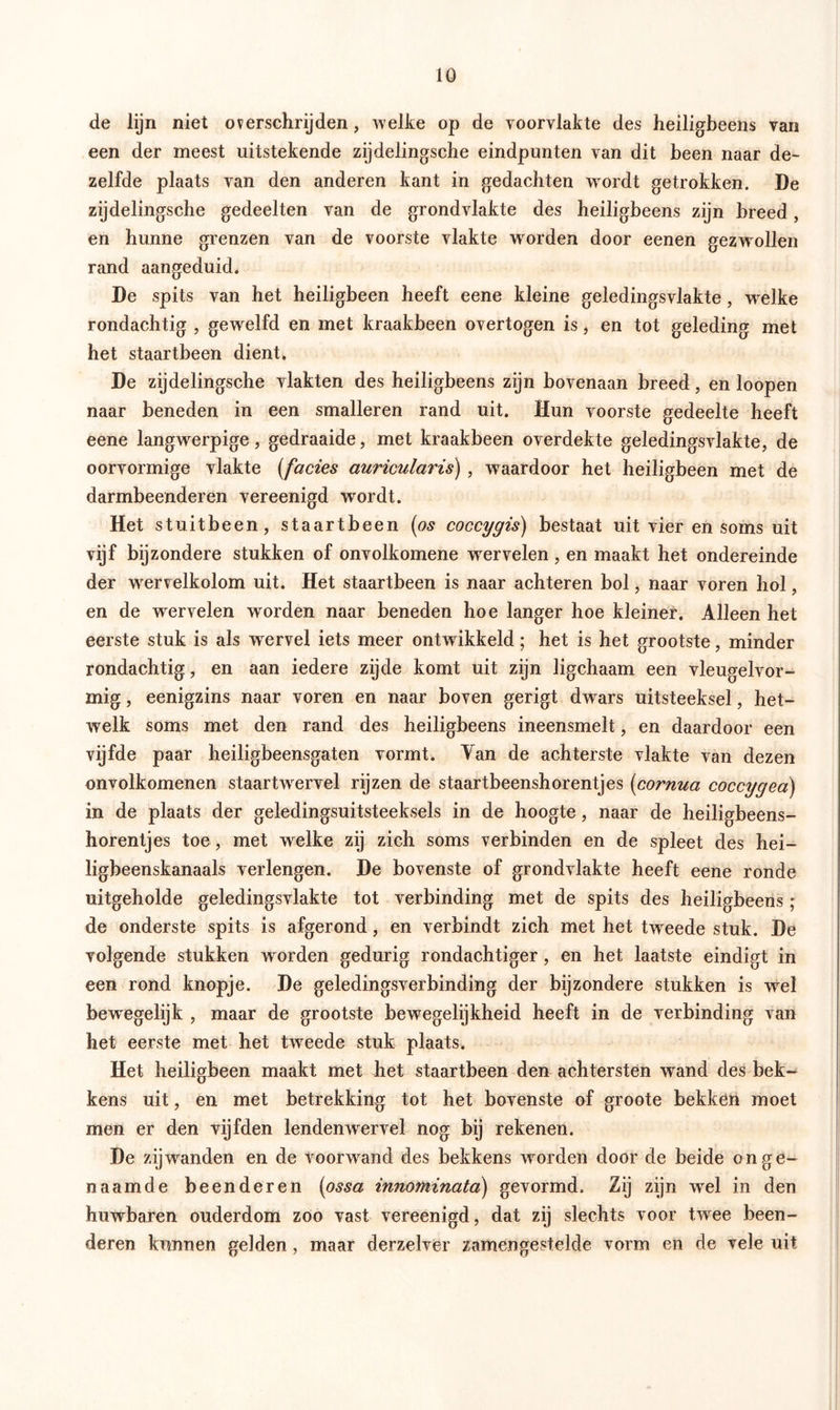 de lijn niet overschrijden, welke op de voorvlakte des heiligbeens van een der meest uitstekende zijdelingsche eindpunten van dit been naar de- zelfde plaats van den anderen kant in gedachten wordt getrokken. De zijdelingsche gedeelten van de grondvlakte des heiligbeens zijn breed, en hunne grenzen van de voorste vlakte worden door eenen gezwollen rand aangeduid. De spits van het heiligbeen heeft eene kleine geledingsvlakte, welke rondachtig , gewrelfd en met kraakbeen overtogen is, en tot geleding met het staartbeen dient. De zijdelingsche vlakten des heiligbeens zijn bovenaan breed, en loopen naar beneden in een smalleren rand uit. Hun voorste gedeelte heeft eene langwerpige, gedraaide, met kraakbeen overdekte geledingsvlakte, de oorvormige vlakte (facies auricularis) , waardoor het heiligbeen met de darmbeenderen vereenigd wordt. Het stuitbeen, staartbeen (os coccygis) bestaat uit vier en soms uit vijf bijzondere stukken of onvolkomene wervelen , en maakt het ondereinde der wervelkolom uit. Het staartbeen is naar achteren bol, naar voren hol, en de wervelen worden naar beneden hoe langer hoe kleiner. Alleen het eerste stuk is als wrervel iets meer ontwikkeld; het is het grootste, minder rondachtig, en aan iedere zijde komt uit zijn ligchaam een vleugelvor- mig , eenigzins naar voren en naar boven gerigt dwars uitsteeksel, het- welk soms met den rand des heiligbeens ineensmelt, en daardoor een vijfde paar heiligbeensgaten vormt. Van de achterste vlakte van dezen onvolkomenen staartwrervel rijzen de staartbeenshorentjes (cornua coccygea) in de plaats der geledingsuitsteeksels in de hoogte, naar de heiligbeens- horentjes toe, met wrelke zij zich soms verbinden en de spleet des hei- ligbeenskanaals verlengen. De bovenste of grondvlakte heeft eene ronde uitgeholde geledingsvlakte tot verbinding met de spits des heiligbeens ; de onderste spits is afgerond, en verbindt zich met het tweede stuk. De volgende stukken worden gedurig rondachtiger, en het laatste eindigt in een rond knopje. De geledingsverbinding der bijzondere stukken is wel bewegelijk , maar de grootste bewegelijkheid heeft in de verbinding van het eerste met het twreede stuk plaats. Het heiligbeen maakt met het staartbeen den achtersten wand des bek- kens uit, en met betrekking tot het bovenste of groote bekken moet men er den vijfden lendenwervel nog bij rekenen. De zijwanden en de voorwand des bekkens wrorden door de beide on ge- naamde beenderen (ossa innominata) gevormd. Zij zijn wrel in den huwbaren ouderdom zoo vast vereenigd, dat zij slechts voor twee been- deren kunnen gelden , maar derzelver samengestelde vorm en de vele uit