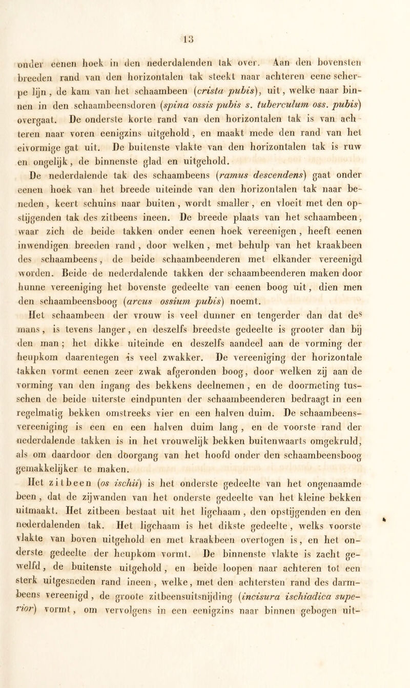 ouder eenen hoek in den nederdalenden lak over. Aan den bovensten breeden rand van den horizontalen tak steekt naar achteren eene scher- pe lijn, de karn van het schaambeen (crista pubis), uit, welke naar bin- nen in den schaambeensdoren (spina ossis pubis s. tuberculum oss. pubis) overgaat. De onderste korte rand van den horizontalen tak is van ach - teren naar voren eenigzins uitgehold, en maakt mede den rand van het eivormige gat uit. De buitenste vlakte van den horizontalen tak is ruw en ongelijk, de binnenste glad en uitgehold. De nederdalende tak des schaambeens (ramus descendens) gaat onder eenen hoek van het breede uiteinde van den horizontalen tak naar be- neden , keert schuins naar buiten , wordt smaller , en vloeit met den op- stijgenden tak des zitbeens ineen. De breede plaats van het schaambeen, waar zich de beide takken onder eenen hoek vereenigen , heeft eenen inwendigen breeden rand , door welken , met behulp van het kraakbeen des schaambeens, de beide schaambeenderen met elkander vereenigd worden. Beide de nederdalende takken der schaambeenderen maken door hunne vereeniging het bovenste gedeelte van eenen boog uit, dien men den schaambeensboog (arcus ossiurn pubis) noemt. Het schaambeen der vrouw is veel dunner en tengerder dan dat des mans , is tevens langer , en deszelfs breedste gedeelte is grooter dan bij den man ; het dikke uiteinde en deszelfs aandeel aan de vorming der heupkom daarentegen is veel zwakker. De vereeniging der horizontale takken vormt eenen zeer zwak afgeronden boog, door welken zij aan de vorming van den ingang des bekkens deelnemen, en de doormeting tus- schen de beide uiterste eindpunten der schaambeenderen bedraagt in een regelmatig bekken omstreeks vier en een halven duim. De schaambeens- vereeniging is een en een halven duim lang , en de voorste rand der nederdalende takken is in het vrouwelijk bekken buitenwaarts omgekruld, als om daardoor den doorgang van het hoofd onder den schaambeensboog gemakkelijker te maken. Het zitbe en (os ischii) is het onderste gedeelte van het ongenaamde been , dat de zijwanden van het onderste gedeelte van het kleine bekken uitmaakt. Het zitbeen bestaat uit het ligchaam , den opstijgenden en den nederdalenden tak. Het ligchaam is het dikste gedeelte , welks voorste vlakte van boven uitgehold en met kraakbeen overtogen is, en het on- derste gedeelte der heupkom vormt. De binnenste vlakte is zacht ge- welfd , de buitenste uitgehold, en beide loopen naar achteren tot een sterk uitgesneden rand ineen , welke, met den achtersten rand des darm- r)eens vereenigd , de groote zitbeensuitsnijding (incisura ischiadica supe- rior) vormt, om vervolgens in een eenigzins naar binnen gebogen uit-