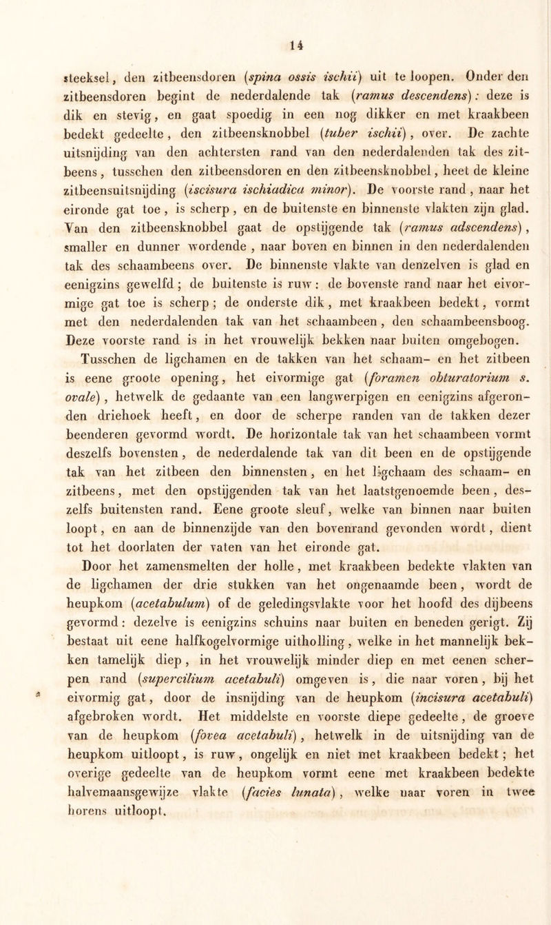 steeksei, den zitbeensdoren (spina ossis ischiï) uit te loopen. Onderden zitbeensdoren begint de nederdalende tak (ramus descendens): deze is dik en stevig, en gaat spoedig in een nog dikker en met kraakbeen bedekt gedeelte , den zitbeensknobbel (tuber ischii), over. De zachte uitsnijding van den achtersten rand van den nederdalenden tak des zit- beens, tusschen den zitbeensdoren en den zitbeensknobbel, heet de kleine zitbeensuitsnijding (iscisura ischiadica minor). De voorste rand, naar het eironde gat toe , is scherp, en de buitenste en binnenste vlakten zijn glad. Yan den zitbeensknobbel gaat de opstijgende tak (ramus adscendens) , smaller en dunner wordende , naar boven en binnen in den nederdalenden tak des schaambeens over. De binnenste vlakte van denzelven is glad en eenigzins gewelfd ; de buitenste is ruw: de bovenste rand naar het eivor- mige gat toe is scherp ; de onderste dik , met kraakbeen bedekt, vormt met den nederdalenden tak van het schaambeen , den schaambeensboog. Deze voorste rand is in het vrouwelijk bekken naar buiten omgebogen. Tusschen de ligchamen en de takken van het schaam- en het zitbeen is eene groote opening, het eivormige gat (foramen ohturatorium s. ovale) , hetwelk de gedaante van een langwerpigen en eenigzins afgeron- den driehoek heeft, en door de scherpe randen van de takken dezer beenderen gevormd wordt. De horizontale tak van het schaambeen vormt deszelfs bovensten, de nederdalende tak van dit been en de opstijgende tak van het zitbeen den binnensten, en het ligchaam des schaam- en zitbeens, met den opstijgenden tak van het laatstgenoemde been, des- zelfs buitensten rand. Eene groote sleuf, welke van binnen naar buiten loopt, en aan de binnenzijde van den bovenrand gevonden wordt, dient tot het doorlaten der vaten van het eironde gat. Door het zamensmelten der holle, met kraakbeen bedekte vlakten van de ligchamen der drie stukken van het ongenaamde been, wordt de heupkom (acetabulum) of de geledingsvlakte voor het hoofd des dijbeens gevormd: dezelve is eenigzins schuins naar buiten en beneden gerigt. Zij bestaat uit eene halfkogelvormige uitholling, welke in het mannelijk bek- ken tamelijk diep , in het vrouwelijk minder diep en met eenen scher- pen rand (supercilium acetabuli) omgeven is, die naar voren, bij het eivormig gat, door de insnijding van de heupkom (incisura acetabuli) afgebroken wordt. Het middelste en voorste diepe gedeelte, de groeve van de heupkom (fovea acetabuli), hetwelk in de uitsnijding van de heupkom uitloopt, is ruw, ongelijk en niet met kraakbeen bedekt; het overige gedeelte van de heupkom vormt eene met kraakbeen bedekte halvemaansgewijze vlakte (facies lunata), welke naar voren in twee horens uitloopt.