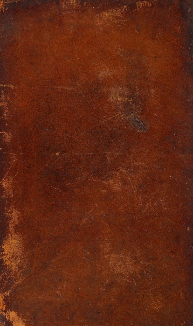 No text description is available for this image