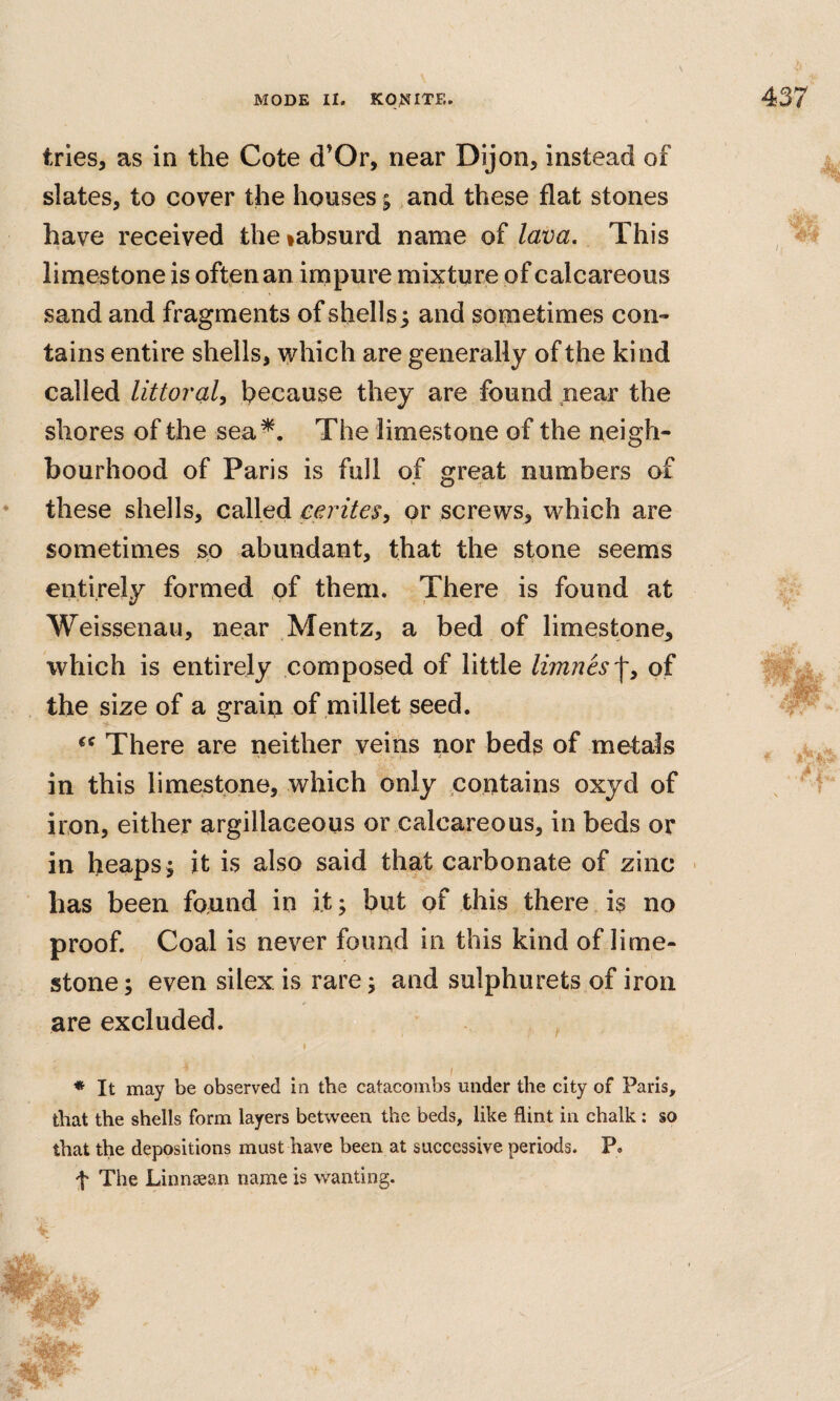 tries, as in the Cote d’Or, near Dijon, instead of slates, to cover the houses; and these flat stones have received theiabsurd name of lava. This limestone is often an impure mixture of calcareous sand and fragments of shells j and sometimes con¬ tains entire shells, which are generally of the kind called Uttoraly because they are found near the shores of the sea^. The limestone of the neigh¬ bourhood of Paris is full of great numbers of these shells, called cerites, or screws, which are sometimes so abundant, that the stone seems entirely formed of them. There is found at Weissenau, near Mentz, a bed of limestone, which is entirely composed of little limnes'\y of the size of a grain of millet seed. There are neither veins nor beds of metals in this limestone, which only .contains oxyd of iron, either argillaceous or calcareous, in beds or in heaps ^ it is also said that carbonate of zinc - has been found in it; but of this there is no proof. Coal is never found in this kind of lime¬ stone ; even silex is rare j and sulphurets of iron are excluded. , I ♦ It may be observed in the catacombs under tlie city of Paris, that the shells form layers between the beds, like flint in chalk: so that the depositions must have been at successive periods. P. t The Linnaean name is wanting.