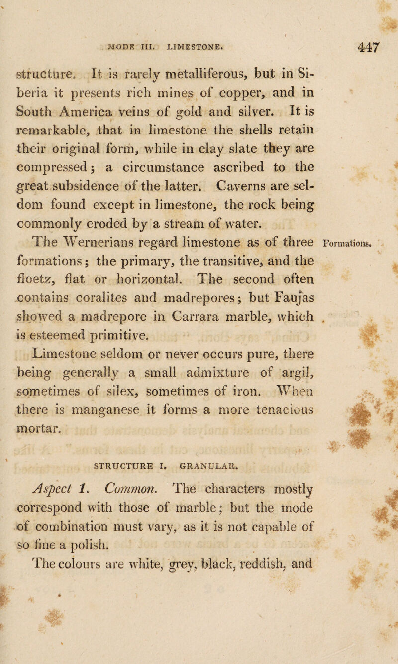 structure. It is rarely metalliferous, but in Si¬ beria it presents rich mines of copper, and in South America veins of gold and silver. It is remarkable, that in limestone the shells retain their original form, while in clay slate they are compressed; a circumstance ascribed to the great subsidence of the latter. Caverns are sel¬ dom found except in limestone, the rock being commonly eroded by a stream of water. The Wernerians regard limestone as of three formations; the primary, the transitive, and the doetz, flat or horizontal. The second often contains coralites and madrepores; but Faujas showed a madrepore in Carrara marble, which is esteemed primitive. Limestone seldom or never occurs pure, there being generally a small admixture of argil, sometimes of silex, sometimes of iron. When there is manganese it forms a more tenacious mortar. STRUCTURE I. GRANULAR. Aspect 1. Common. The characters mostly correspond with those of marble; but the mode of combination must vary, as it is not capable of so fine a polish. The colours are w hite, 'grey, black, reddish, and Formations,