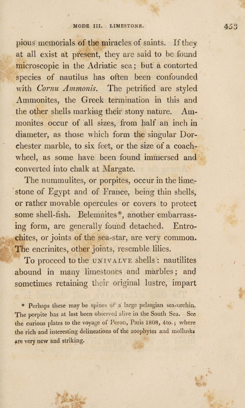 pious memorials of the miracles of saints. If they at all exist at present, they are said to be fomid microscopic in the Adriatic sea; but a contorted species of nautilus has often been confounded with Cornu Ammonis, The petrified are styled Ammonites, the Greek termination in this and the other shells marking their stony nature. Am¬ monites occur of all sizes, from half an inch in diameter, as those which form the singular Dor¬ chester marble, to six feet, or the size of a coach- wheel, as some have been found immersed and converted into chalk at Margate. The nummulites, or porpites, occur in the lime- * stone of Egypt and of France, being thin shells, or rather movable opercules or covers to protect some shell-fish. Belemnites^, another embarrass¬ ing form, are generally found detached. Entro- chites, or joints of the sea-star, are very common. The encrinites, other joints, resemble lilies. To proceed to the univalve shells : nautilites abound in many limestones and marbles; and sometimes retaining their original lustre, impart * Perhaps these may be spines of a large pelasgian sea-urchin. The porpite has at last been observed alive in the South^Sea. See the curious plates to the voyage of Peron, Paris 1808, dto.j where the rich and interesting d.elineatIons of the zoophytes and molluskg are very new and striking.