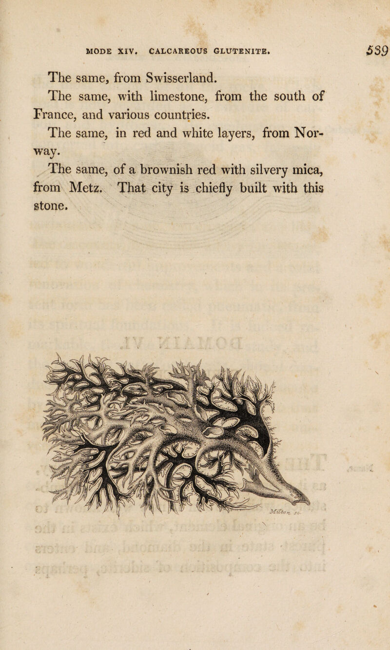 The same, from Swisserland. The same, with limestone, from the south of France, and various countries. The same, in red and white layers, from Nor¬ way. The same, of a brownish red with silvery mica, from Metz. That city is .chiefly built with this stone.