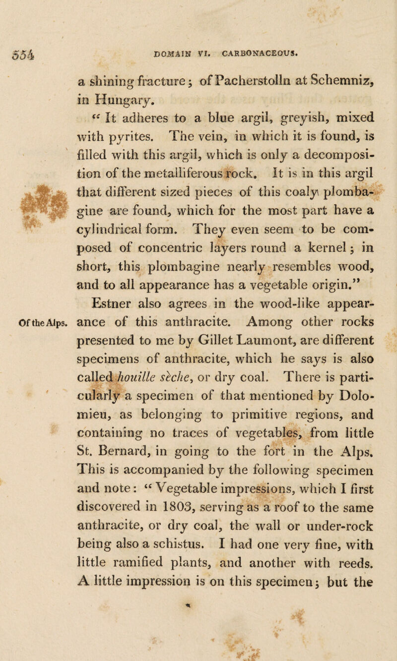 a shining fracture; of Pacherstolln atSchemniz, in Hungary. It adheres to a blue argil, greyish, mixed with pyrites. The vein, in which it is found, is filled with this argil, which is only a decomposi¬ tion of the metalliferous rock. It is in this argil that different sized pieces of this coaly plomba- gine are found, which for the most part have a cylindrical form. They even seem to be com¬ posed of concentric layers round a kernel; in short, this plombagine nearly resembles wood, and to all appearance has a vegetable origin.’’ Estner also agrees in the wood-like appear¬ ance of this anthracite. Among other rocks presented to me by Gillet Laumont, are different specimens of anthracite, which he says is also CdlledL^houille slcJie^ or dry coal. There is parti¬ cularly a specimen of that mentioned by Dolo- mieu, as belonging to primitive regions, and containing no traces of vegetables, from little St. Bernard, in going to the fort in the Alps, This is accompanied by the following specimen and note: Vegetable impressions, which I first discovered in 1803, serving as a roof to the same anthracite, or dry coal, the wall or under-rock being also a schistus. I had one very fine, with little ramified plants, and another with reeds. A little impression is on this specimen; but the