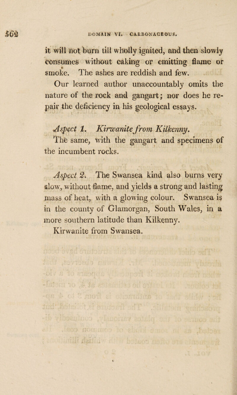 it will not burn till wholly ignited, and then slowly consumes without caking or emitting flame or smoke. The ashes are reddish and few. Our learned author unaccountably omits the nature of the rock and gangart; nor does he re¬ pair the deficiency in his geological essays. Aspect 1. Kirwanitefrom Kilkenny, The same, with the gangart and specimens of the incumbent rocks. Aspect 2. The Swansea kind also burns very slow, without flame, and yields a strong and lasting mass of heat, with a glowing colour. Sw’ansea is in the county of Glamorgan, South Wales, in a more southern latitude than Kilkenny. Kirwanite from Swansea.