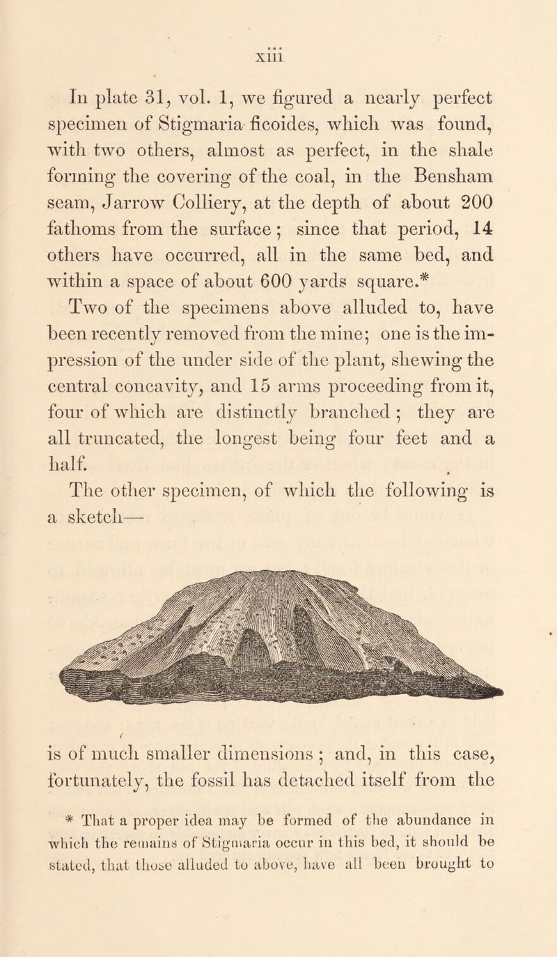 Xlli In plate 31, vol. 1, we figured a nearly perfect specimen of Stigmaria ficoides, wliicli was found, with two others, almost as perfect, in the shale forming the covering of the coal, in the Bensham seam, Jarrow Colliery, at the depth of about 200 fathoms from the surface; since that period, 14 others have occurred, all in the same bed, and within a space of about 600 yards square.* Two of the specimens above alluded to, have been recently removed from the mine; one is the im¬ pression of the under side of the plant, shewing the central concavity, and 15 arms proceeding from it, four of which are distinctly branched ; they are all truncated, the longest being four feet and a half. The other specimen, of which the following is a sketch— is of much smaller dimensions ; and, in this case, fortunately, the fossil has detached itself from the * That a proper idea may be formed of the abundance in which the remains of Stigmaria occur in this bed, it should be stated, that those alluded to above, have all been brought to