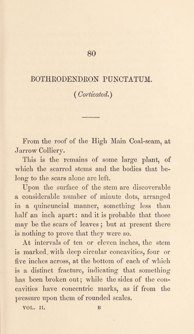 80 BOTHEODENDEON PUNCTATUM. ( Corticated.) From the roof of the High Main Coal-seam, at Jarrow Colliery. This is the remains of some large plant, of which the scarred stems and the bodies that be¬ long to the scars alone are left. Upon the surface of the stem are discoverable a considerable number of minute dots, arranged in a quincuneial manner, something less than half an inch apart: and it is probable that those may be the scars of leaves \ but at present there is nothing to prove that they were so. At intervals of ten or eleven inches, the stem is marked, with deep circular concavities, four or five inches across, at the bottom of each of which is a distinct fracture, indicating that something has been broken out • while the sides of the con¬ cavities have concentric marks, as if from the pressure upon them of rounded scales. VOL. II. B