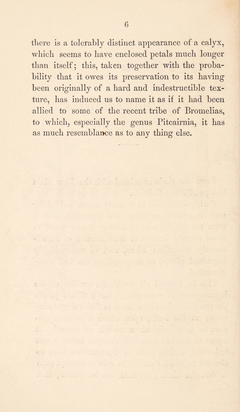 6 there is a tolerably distinct appearance of a calyx, which seems to have enclosed petals much longer than itself; this, taken together with the proba¬ bility that it owes its preservation to its having been originally of a hard and indestructible tex¬ ture, has induced us to name it as if it had been allied to some of the recent tribe of Bromelias, to which, especially the genus Pitcairnia, it has as much resemblance as to any thing else.